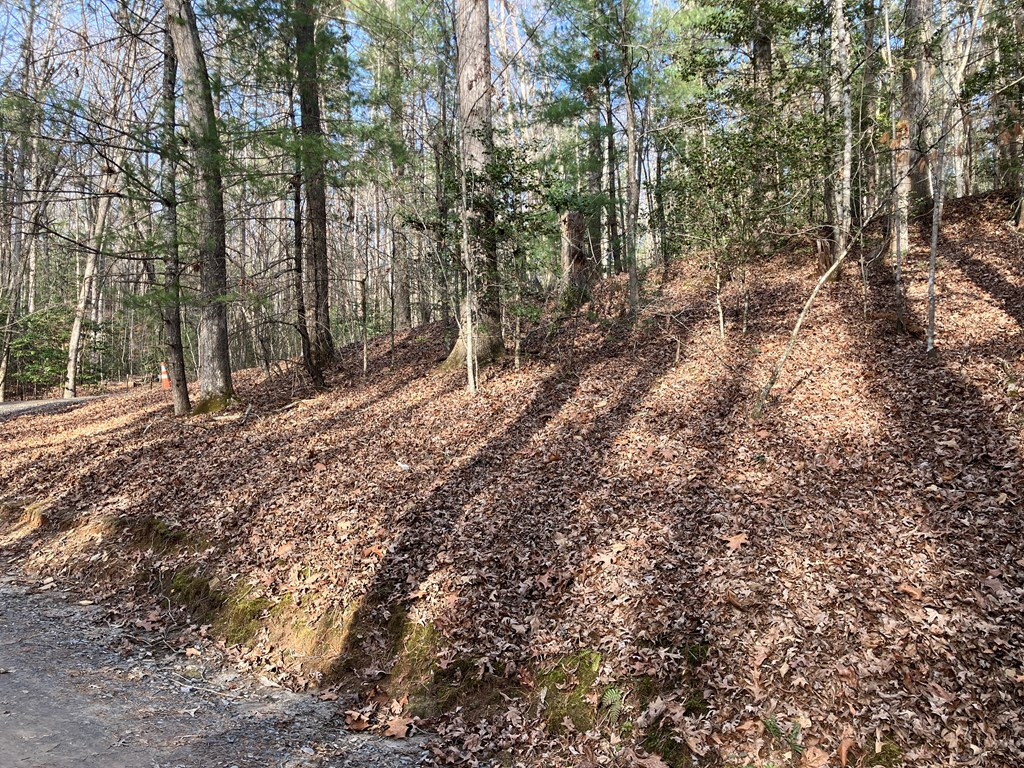 Exterior photo of Lot 26A Amandas Way, Murphy, NC 28906. MLS: 98519392