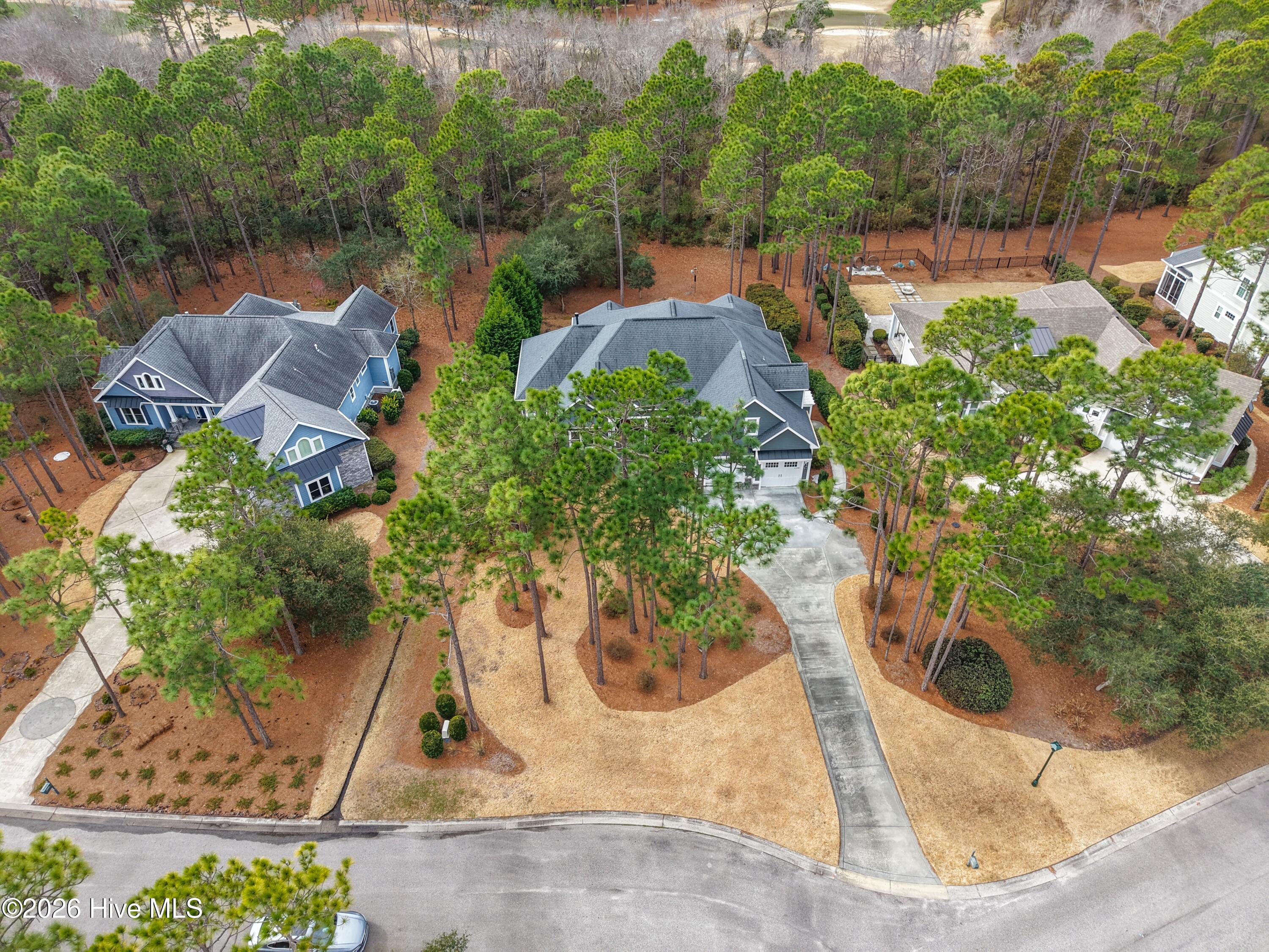 100555606 | Photo 62