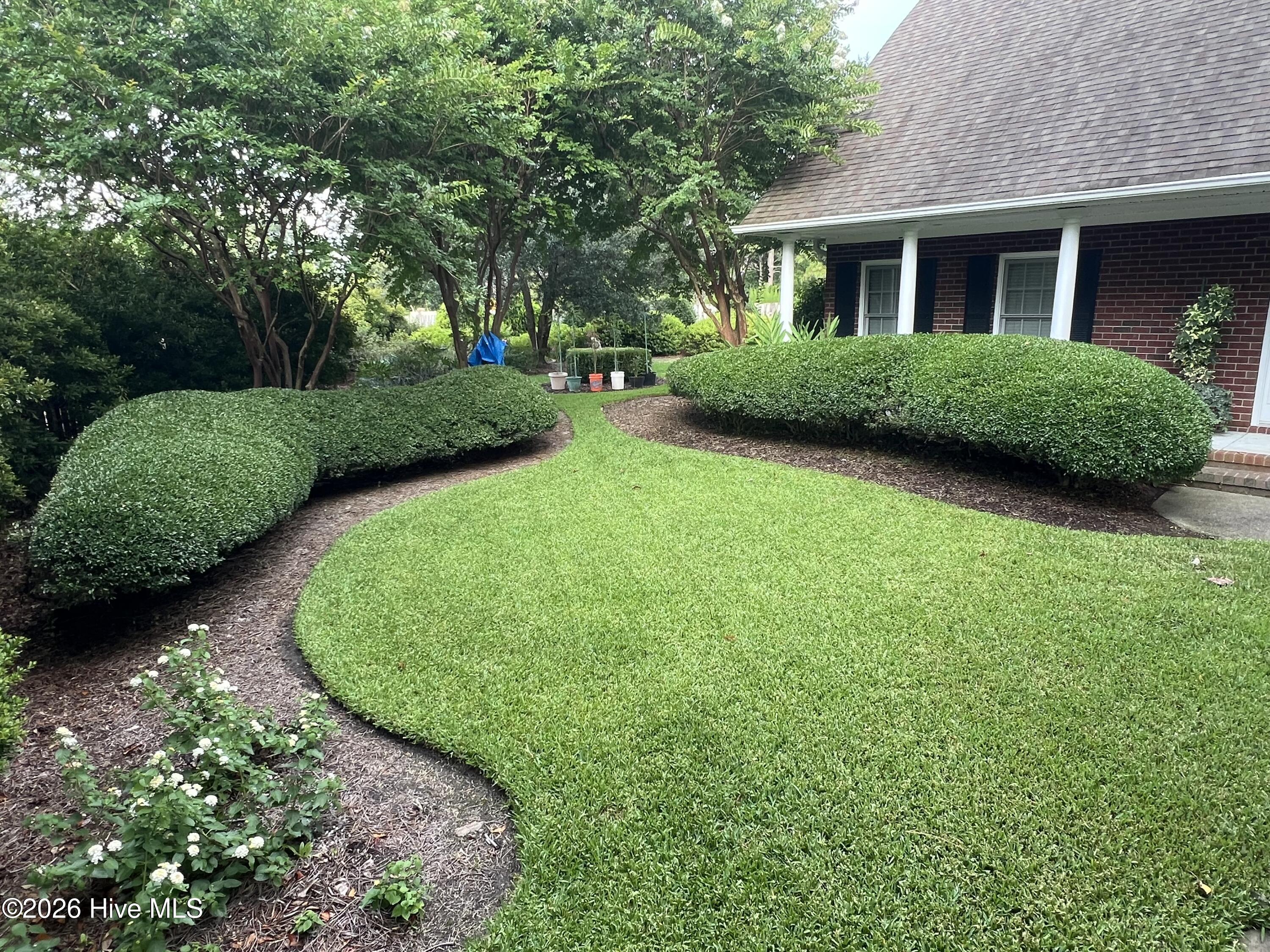 100556921 | Photo 49