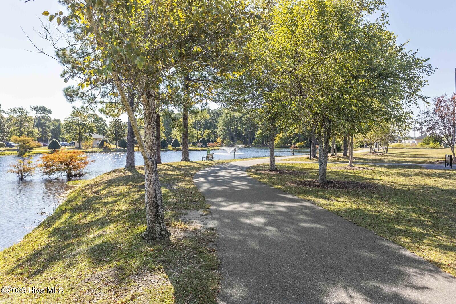 100479691 | Photo 32