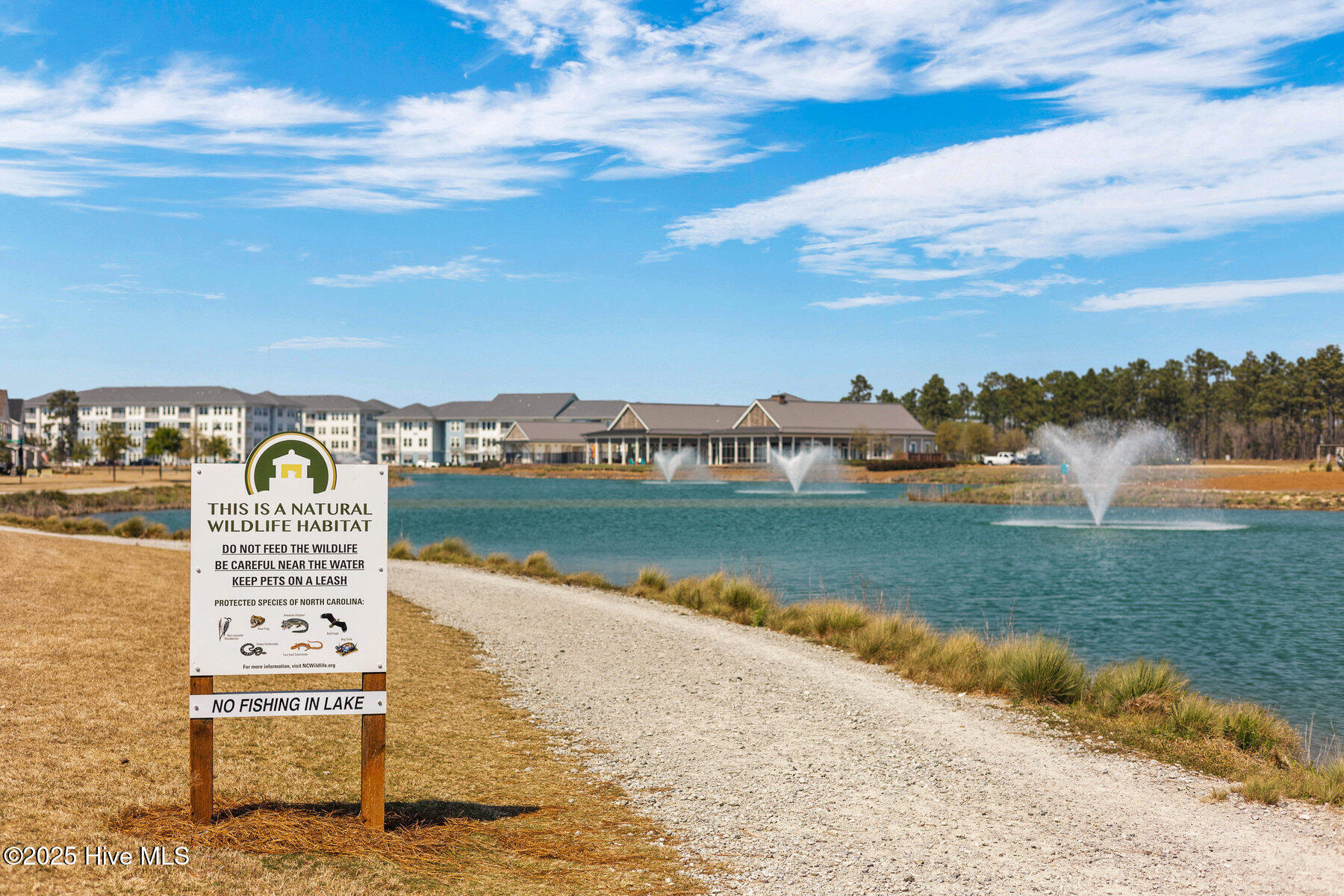 100538755 | Photo 79