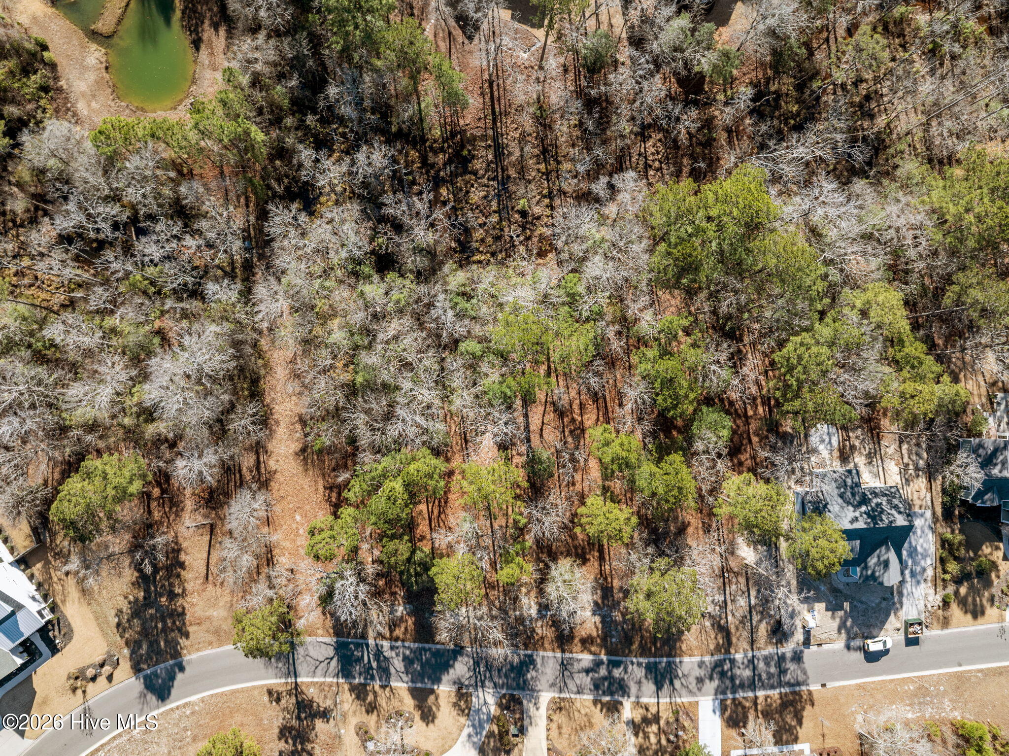 100547475 | Photo 23