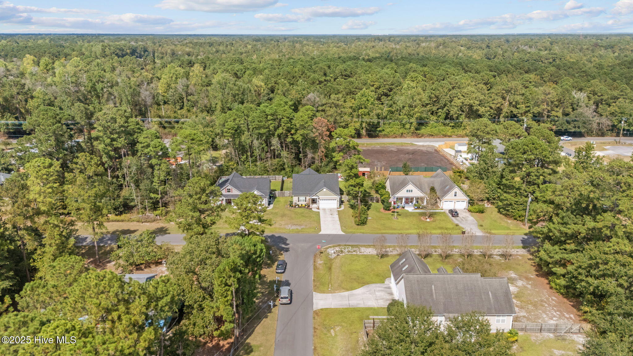 100531011 | Photo 33