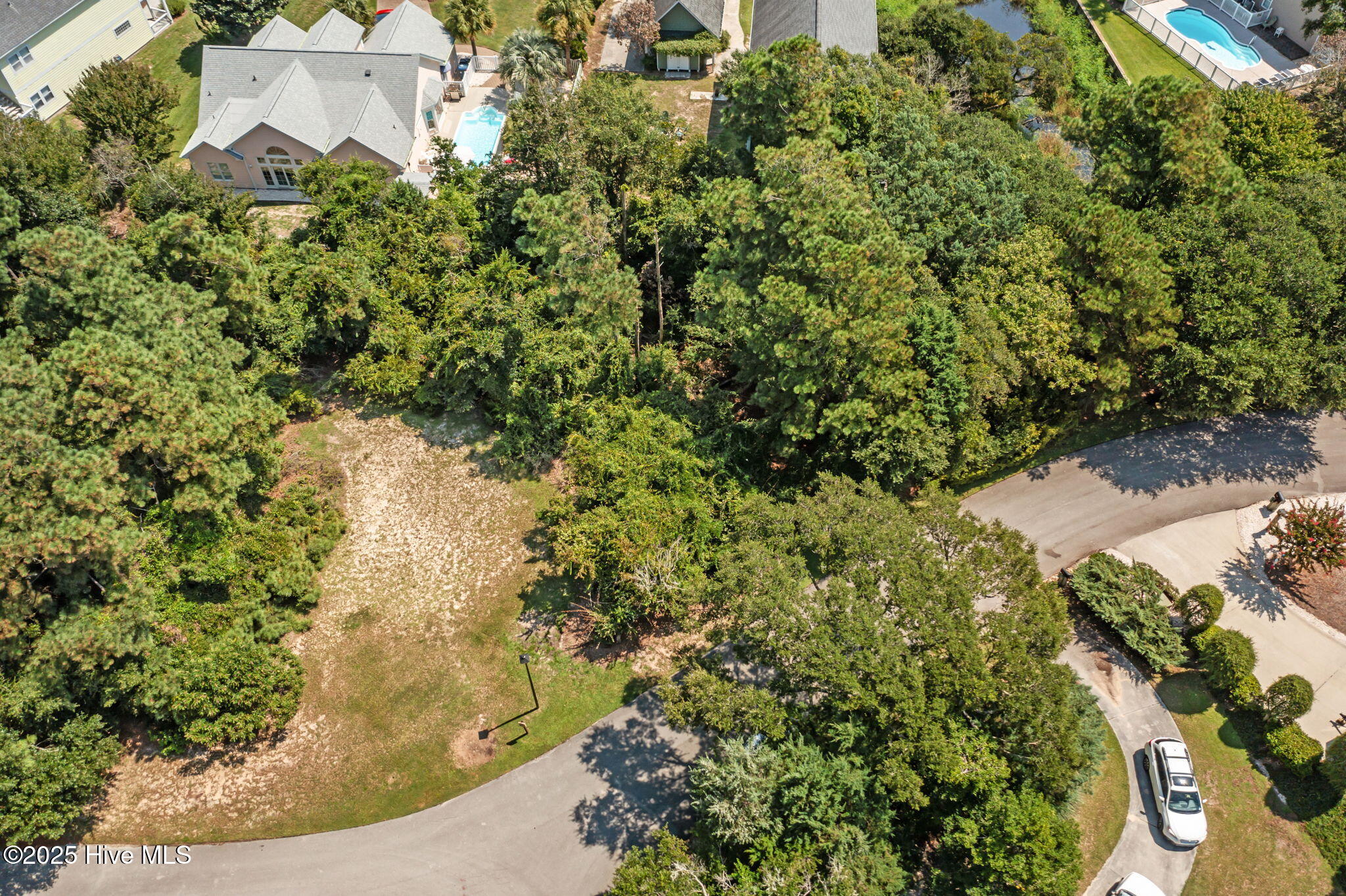 100525886 | Photo 12