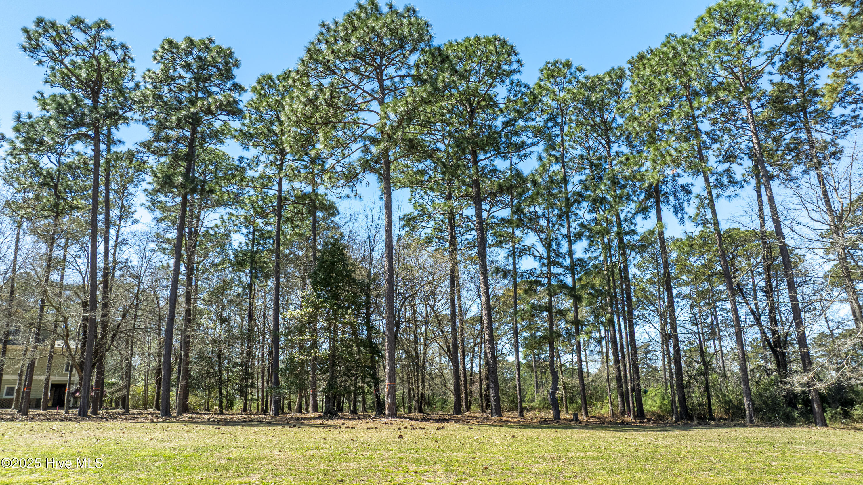 100498596 | Photo 14