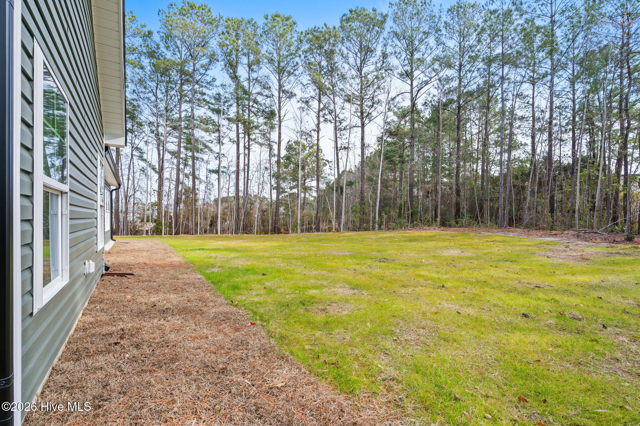 100513305 | Photo 26