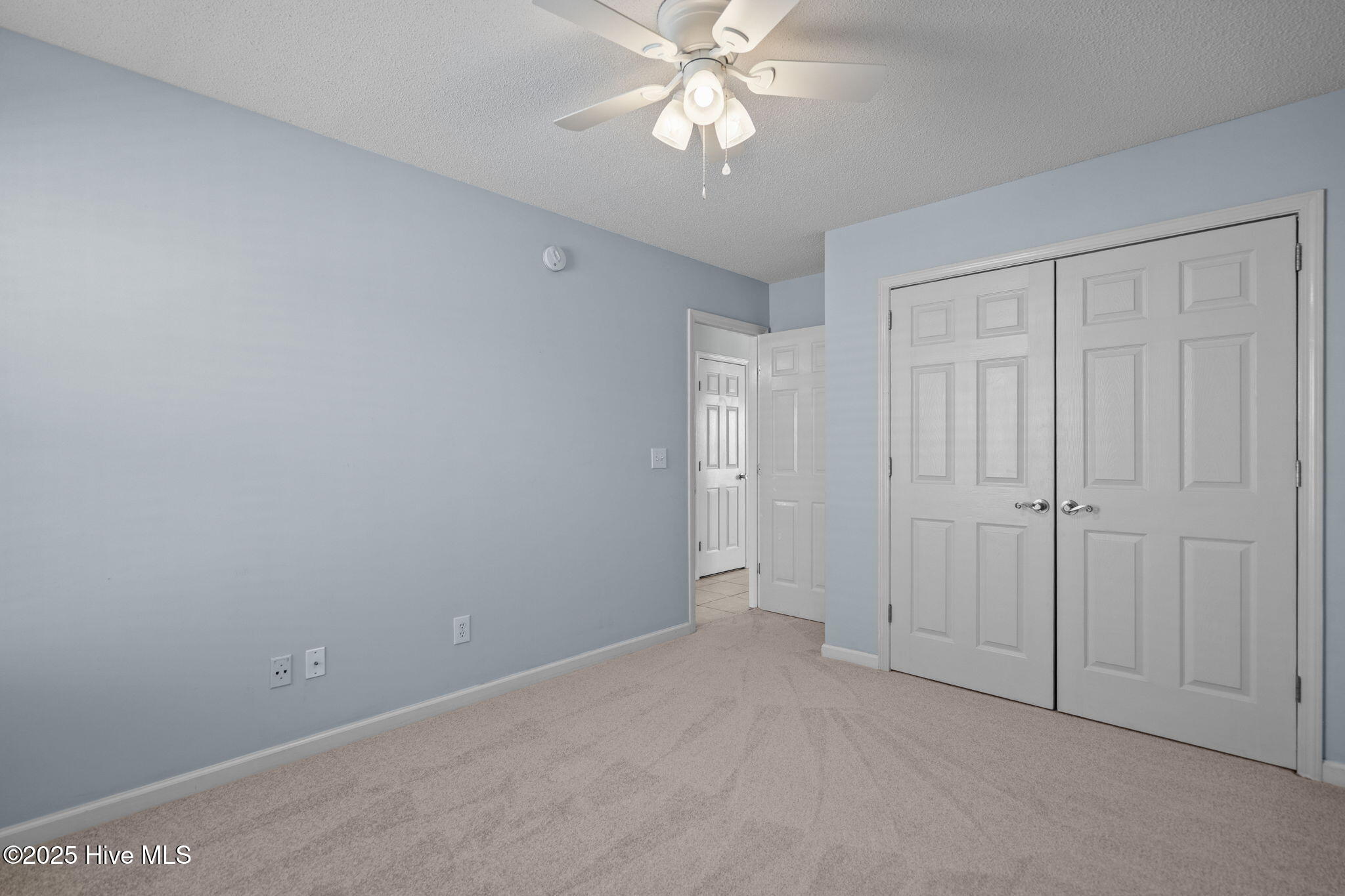 100537991 | Photo 23