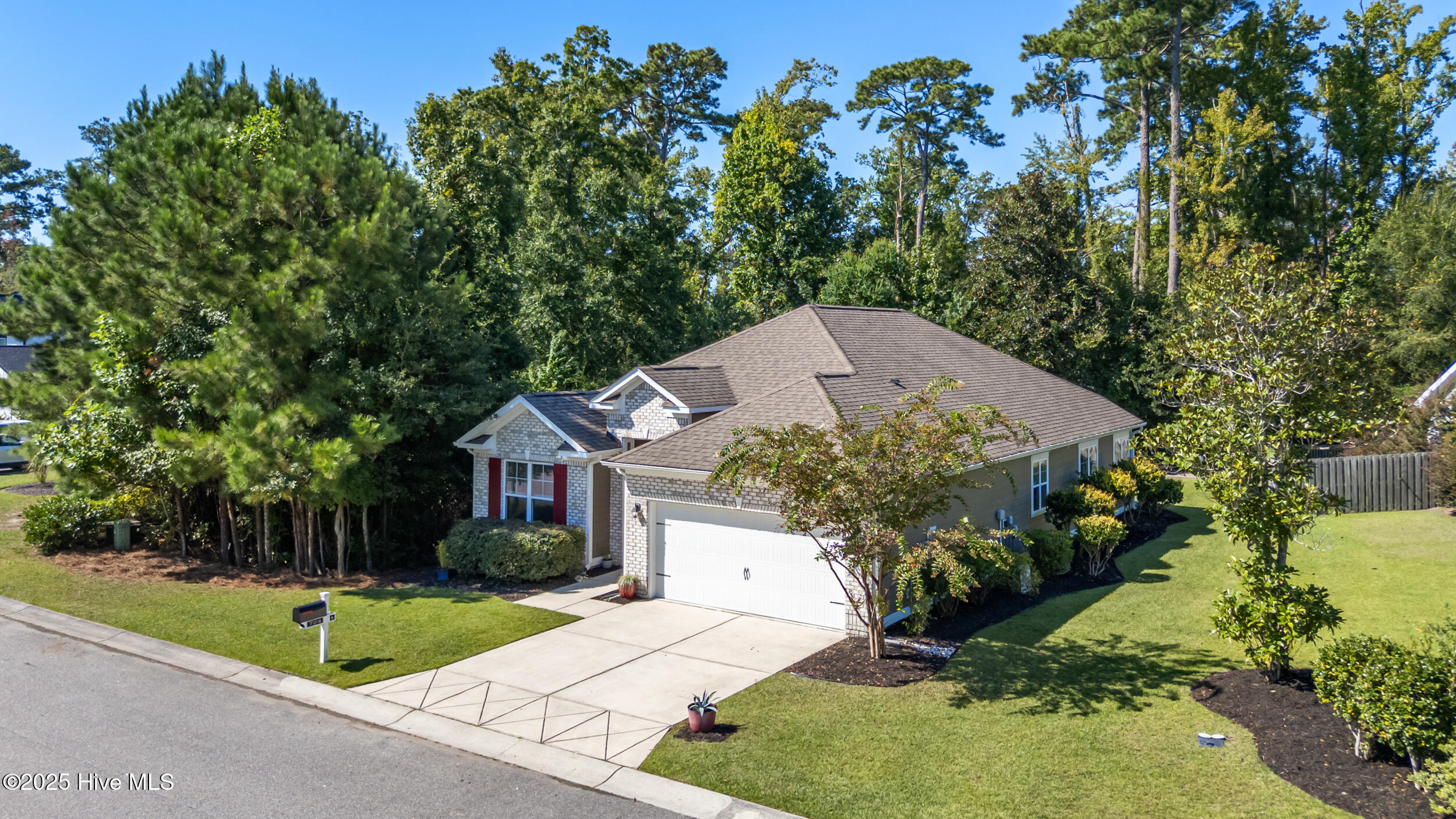 100529345 | Photo 49