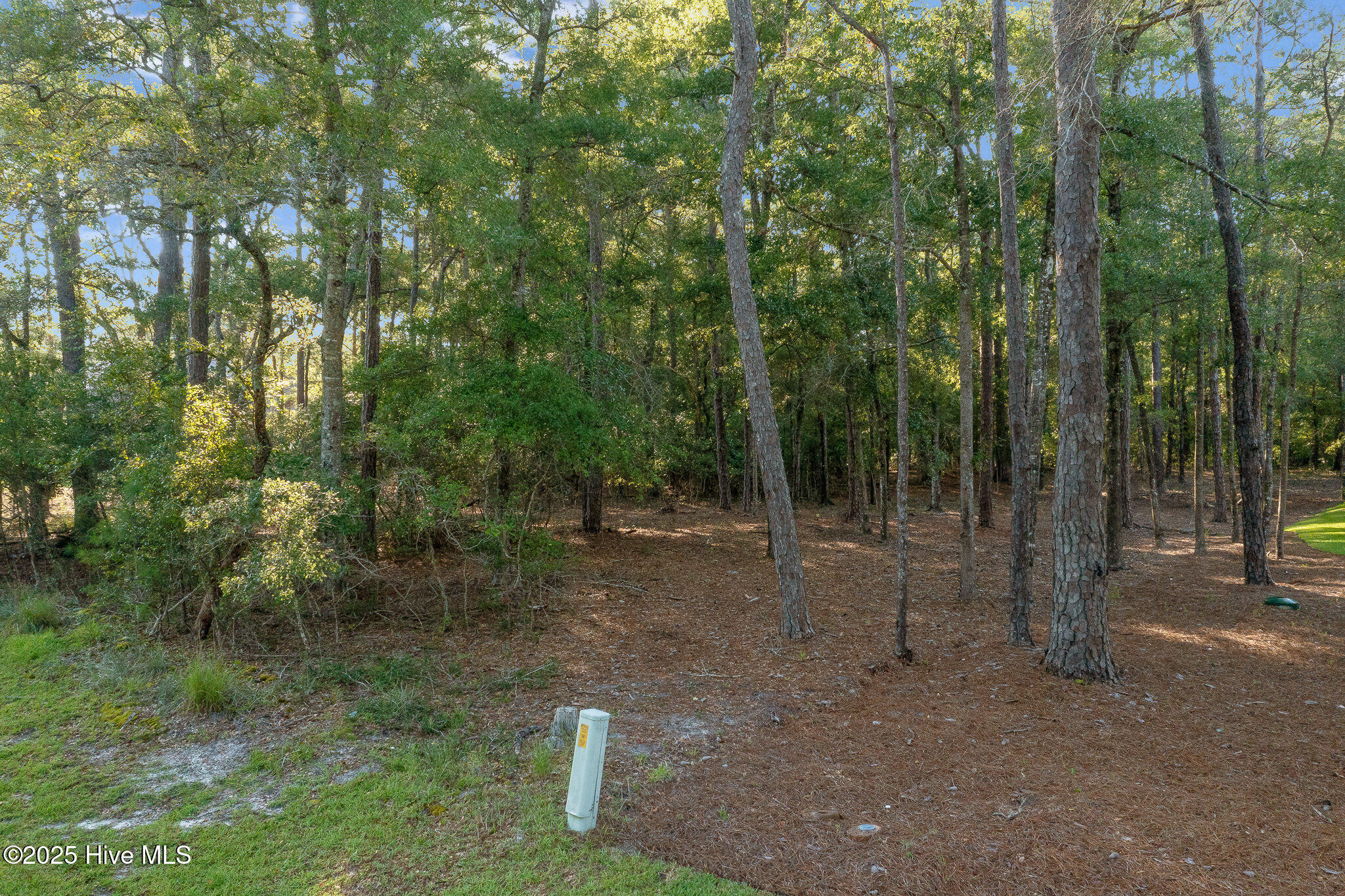 100526036 | Photo 10