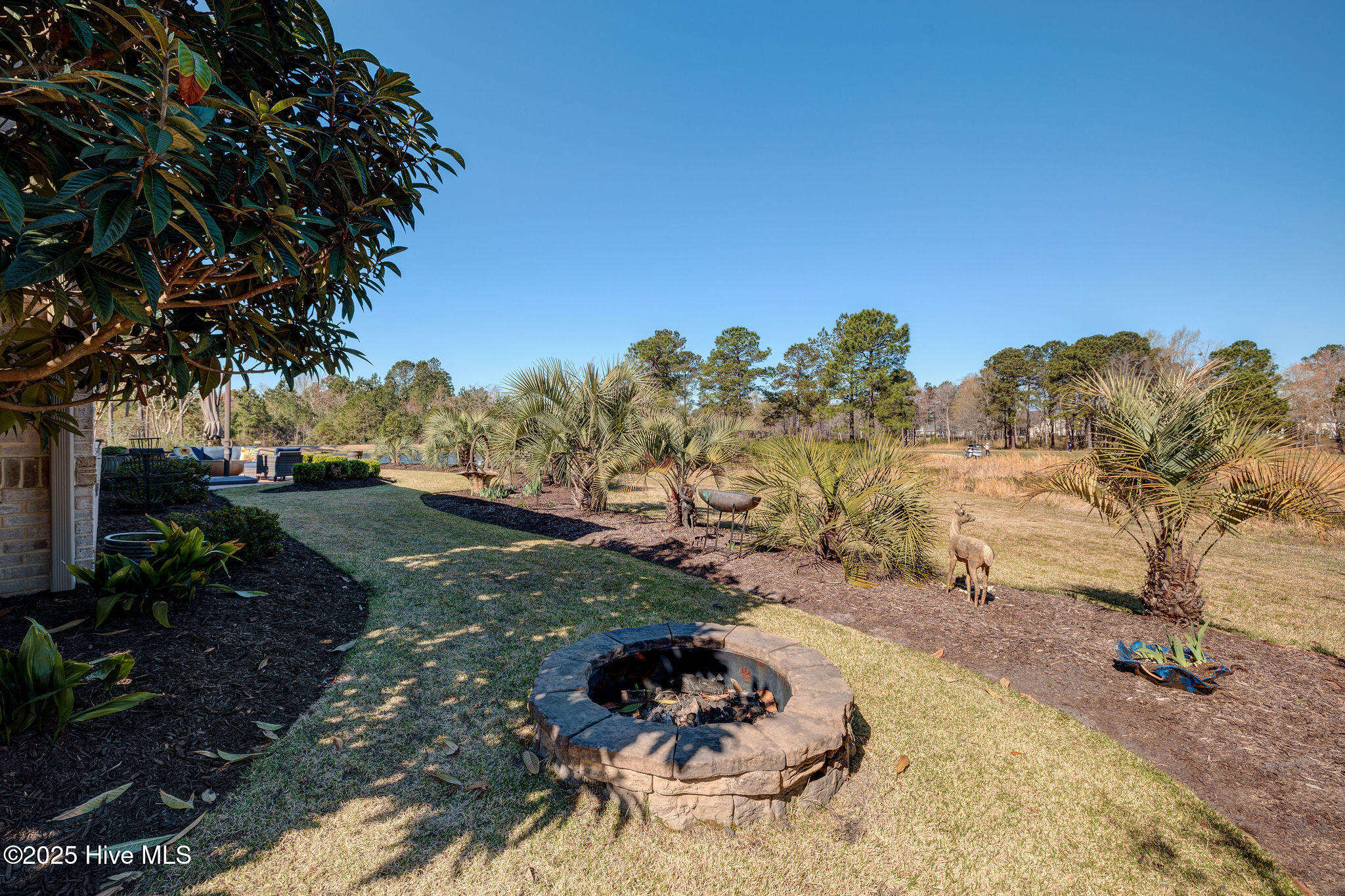 100550746 | Photo 58