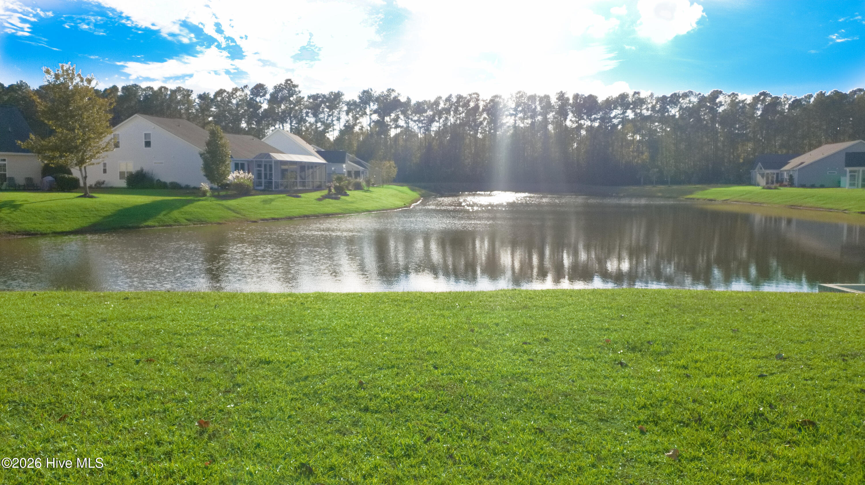 100569889 | Photo 59