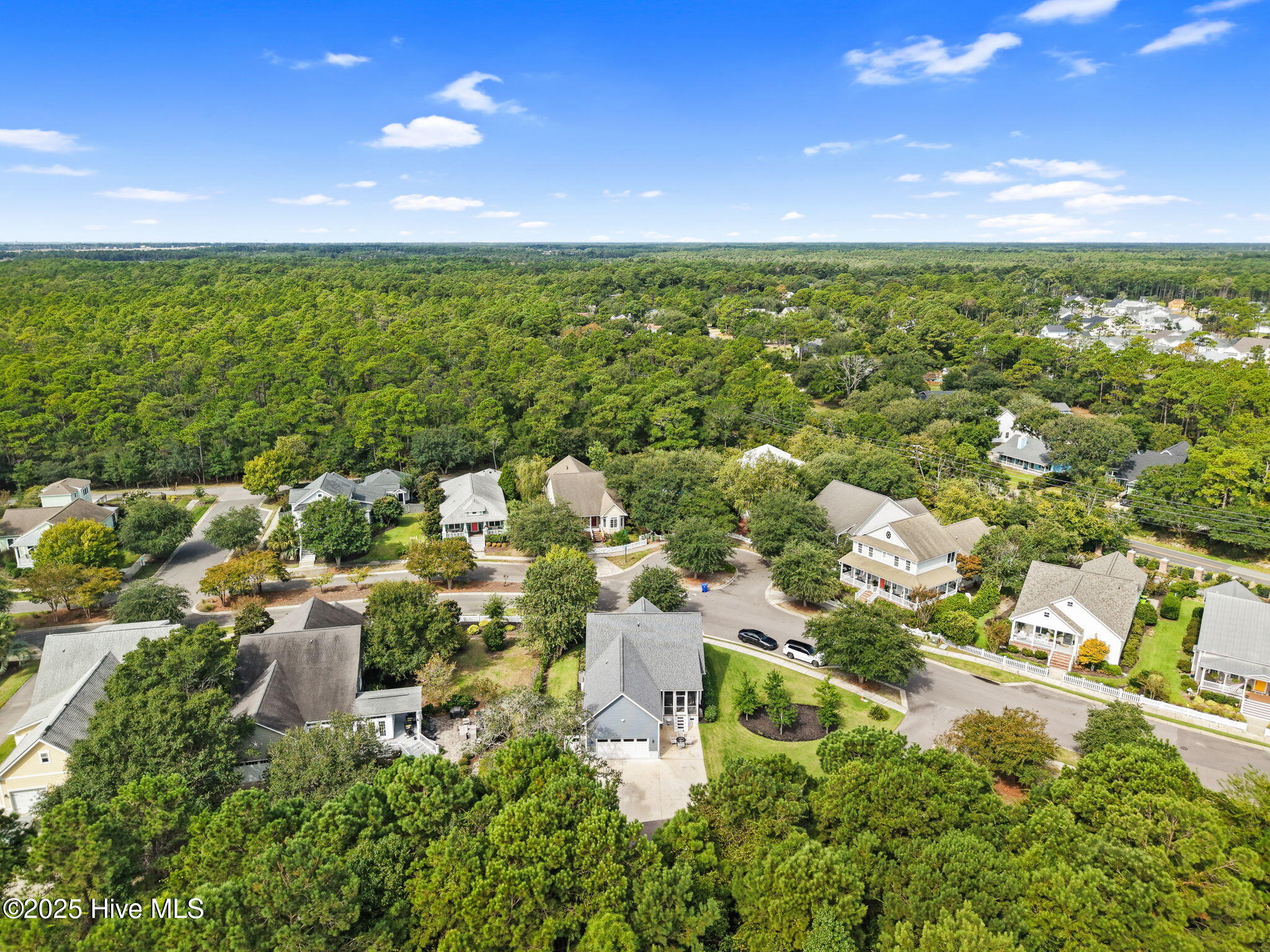 100530227 | Photo 57