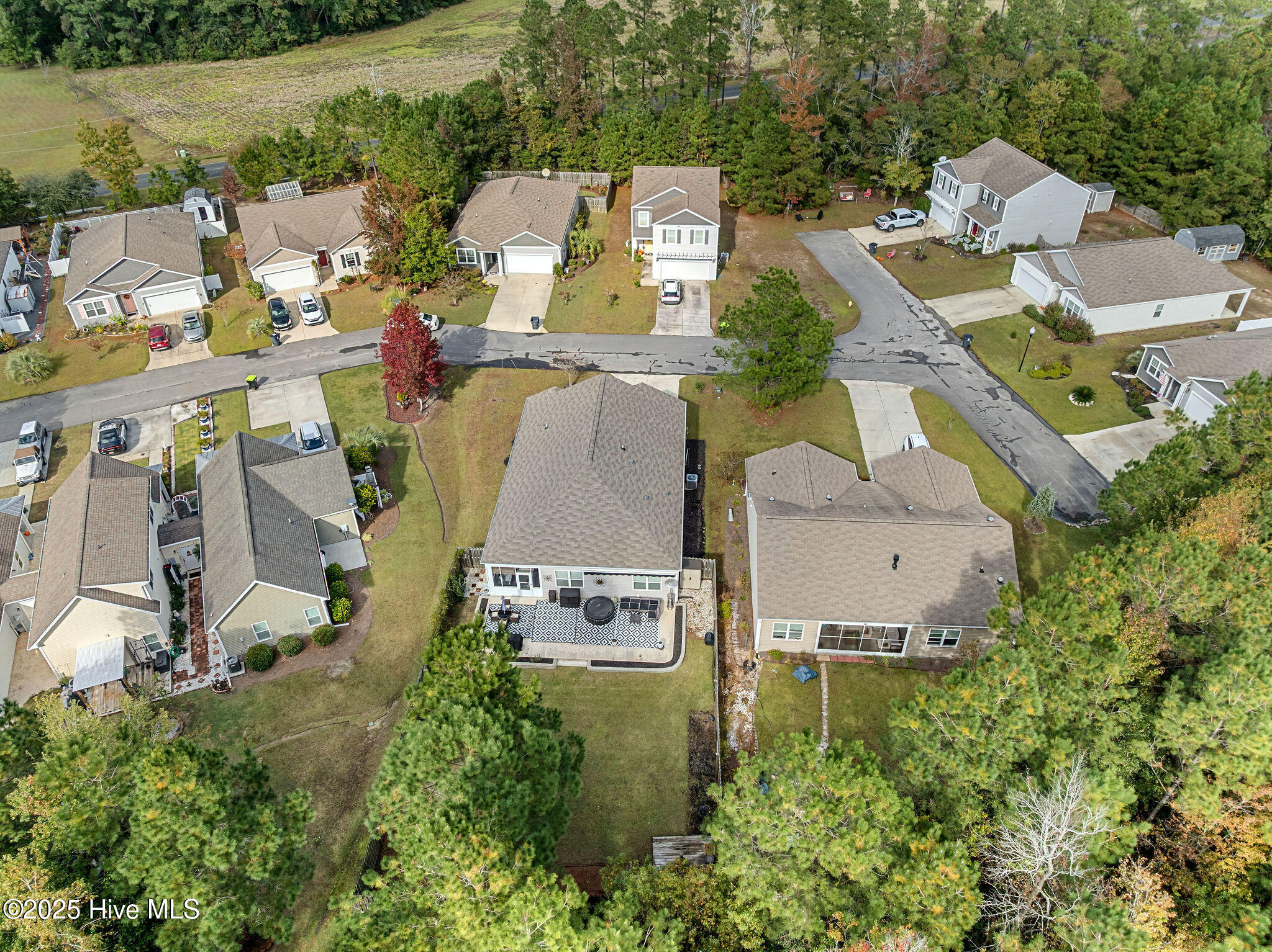 100539651 | Photo 54