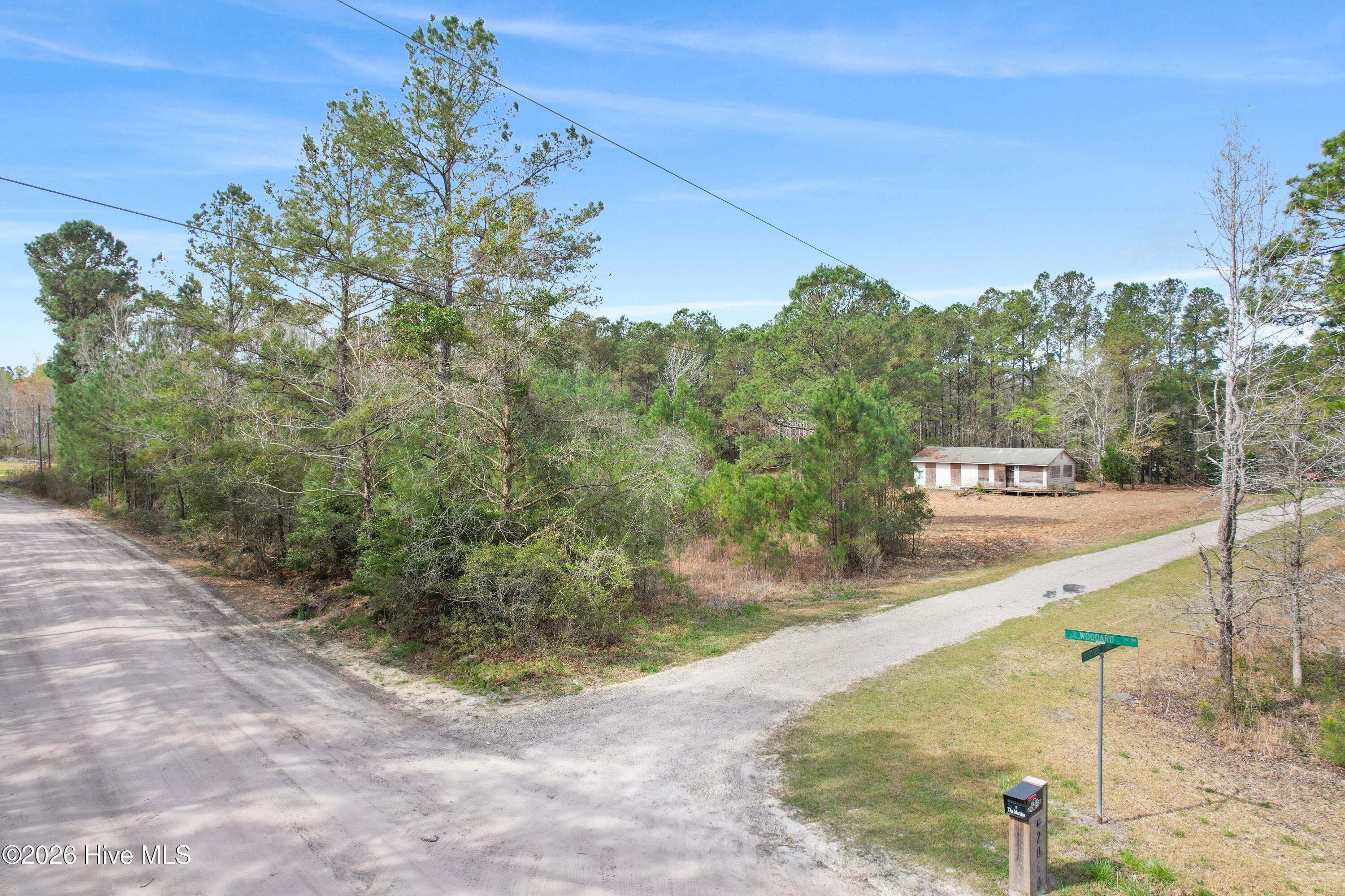 100563116 | Photo 19