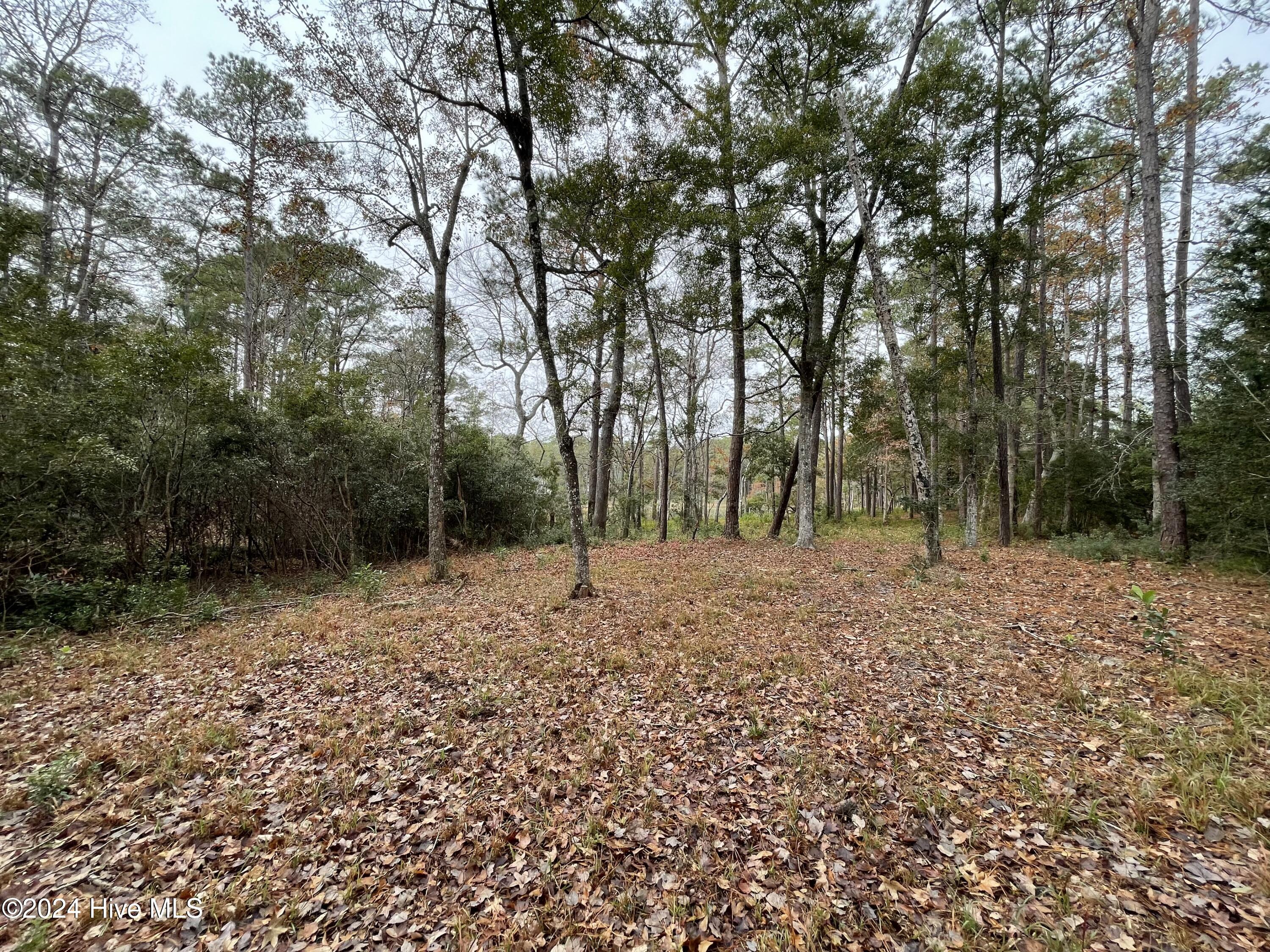 100481360 | Photo 15