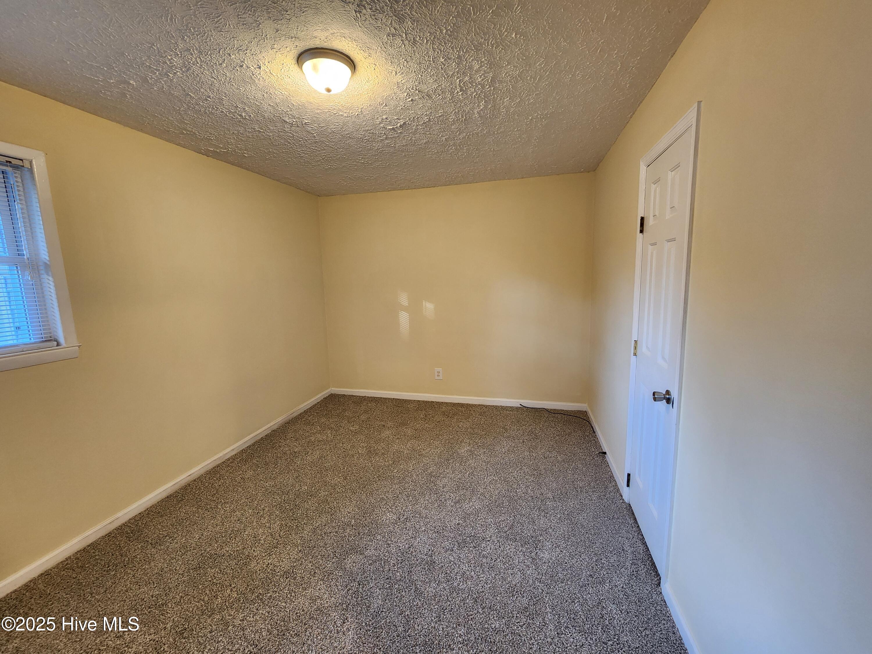 100569184 | Photo 10