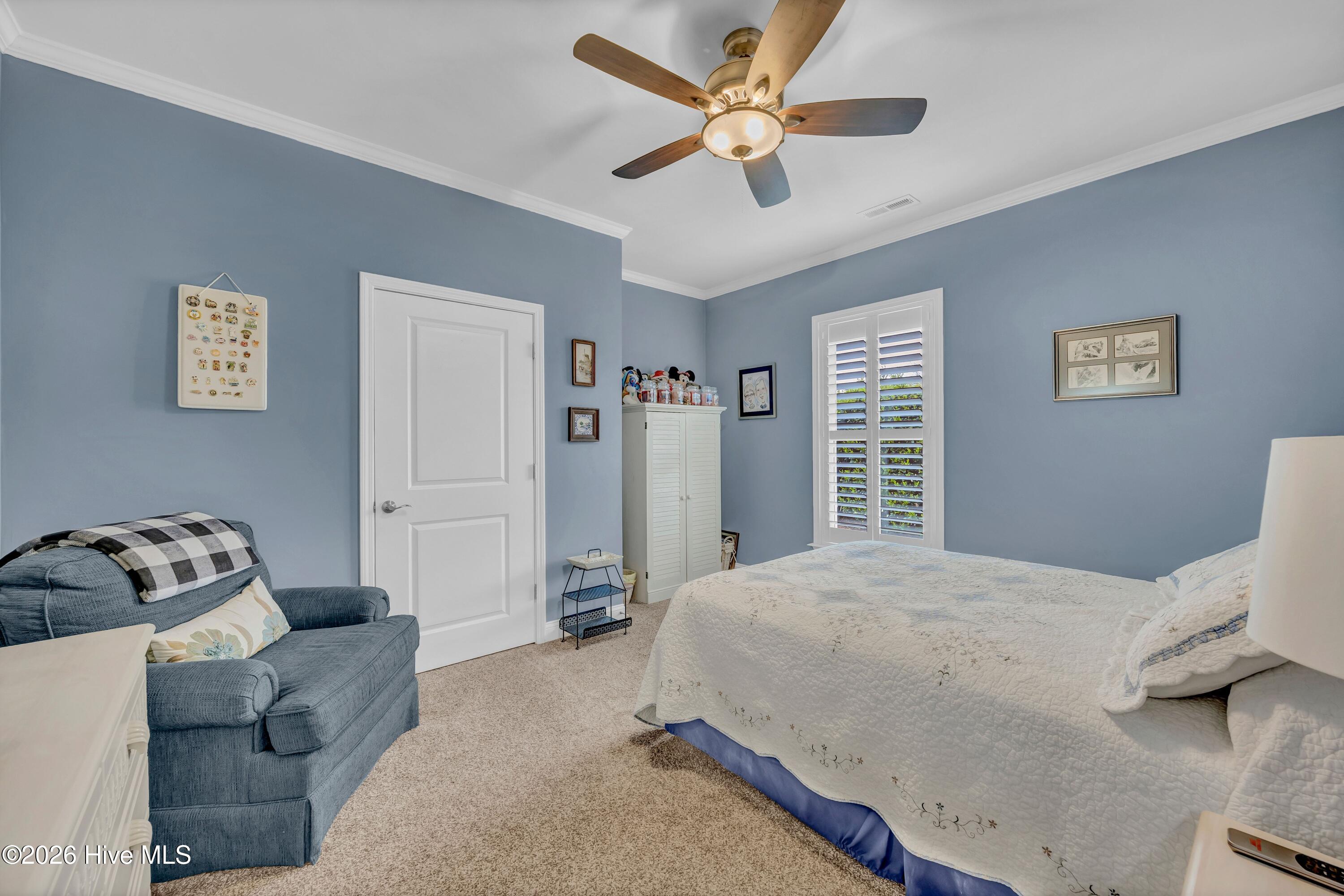 100562061 | Photo 20