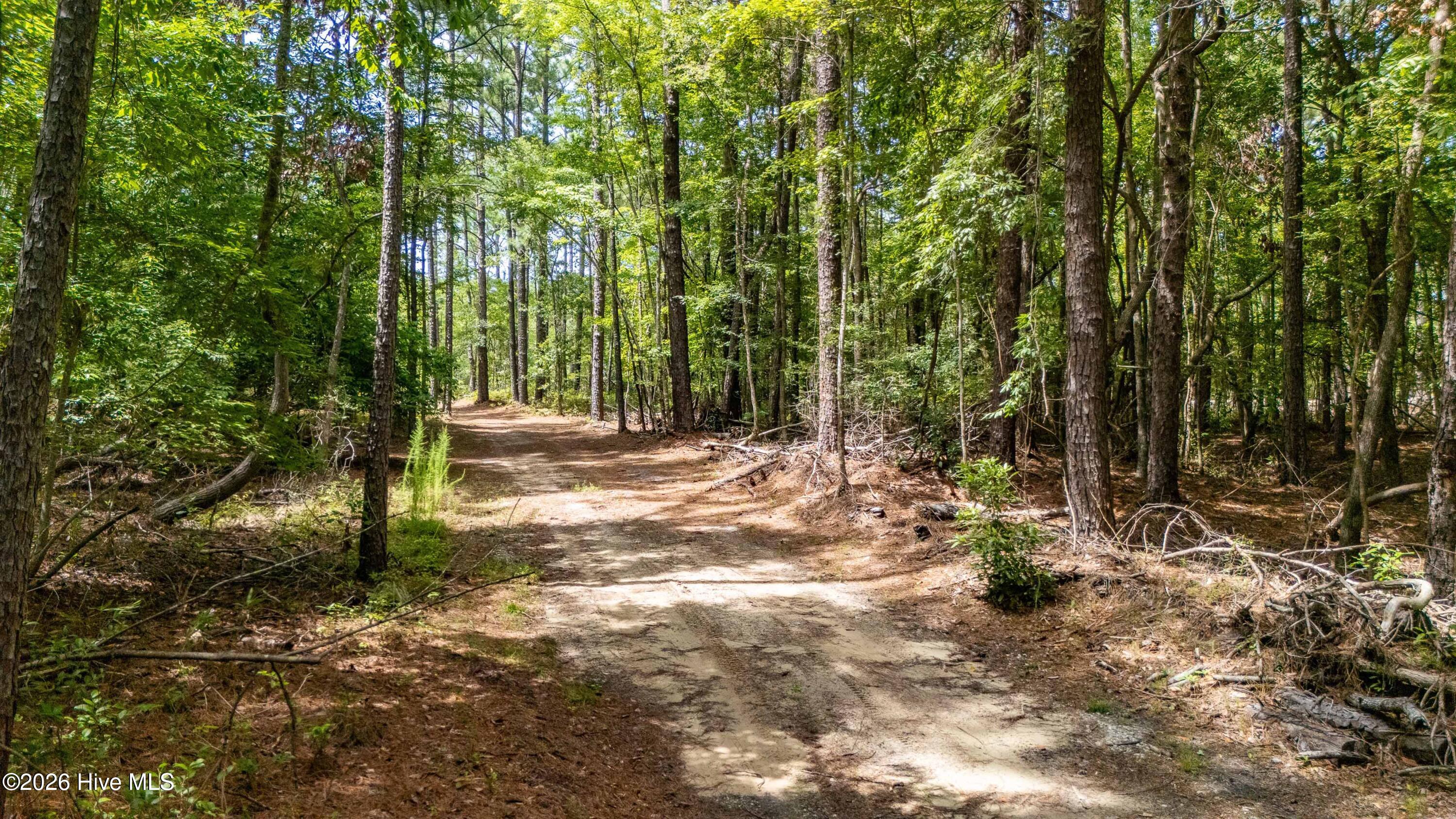 5th image of 000 Jeff Rd, Arapahoe, NC 28510 | MLS# 100596364
