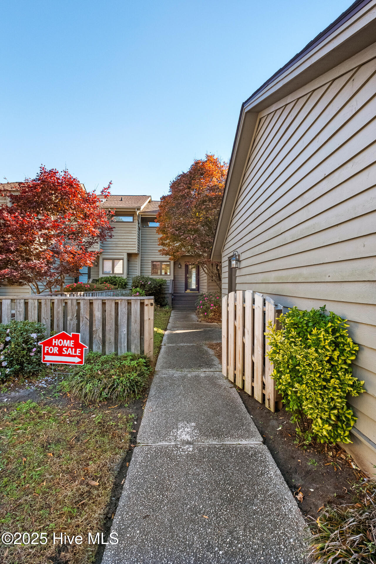 100526390 | Photo 53