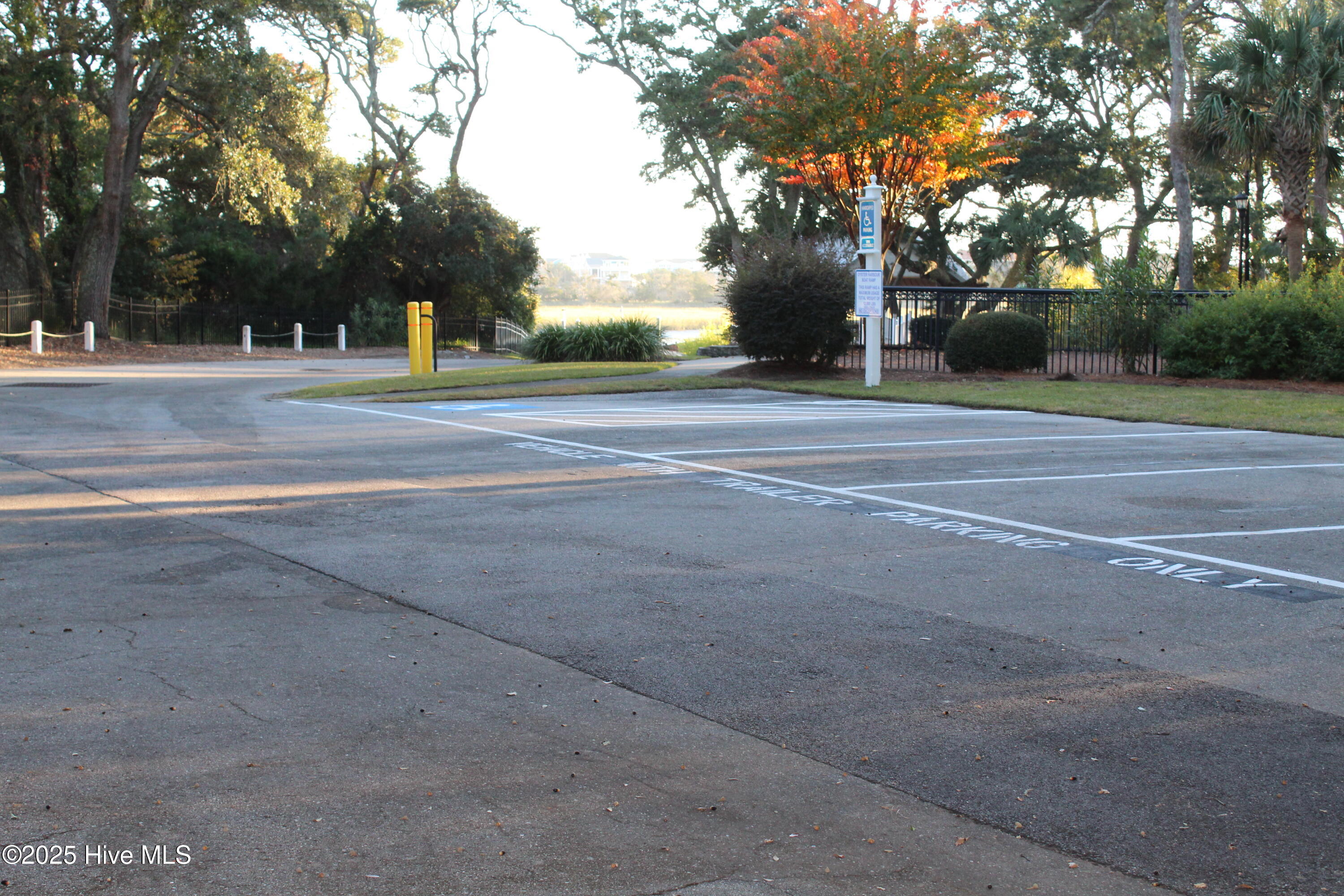 100540386 | Photo 28