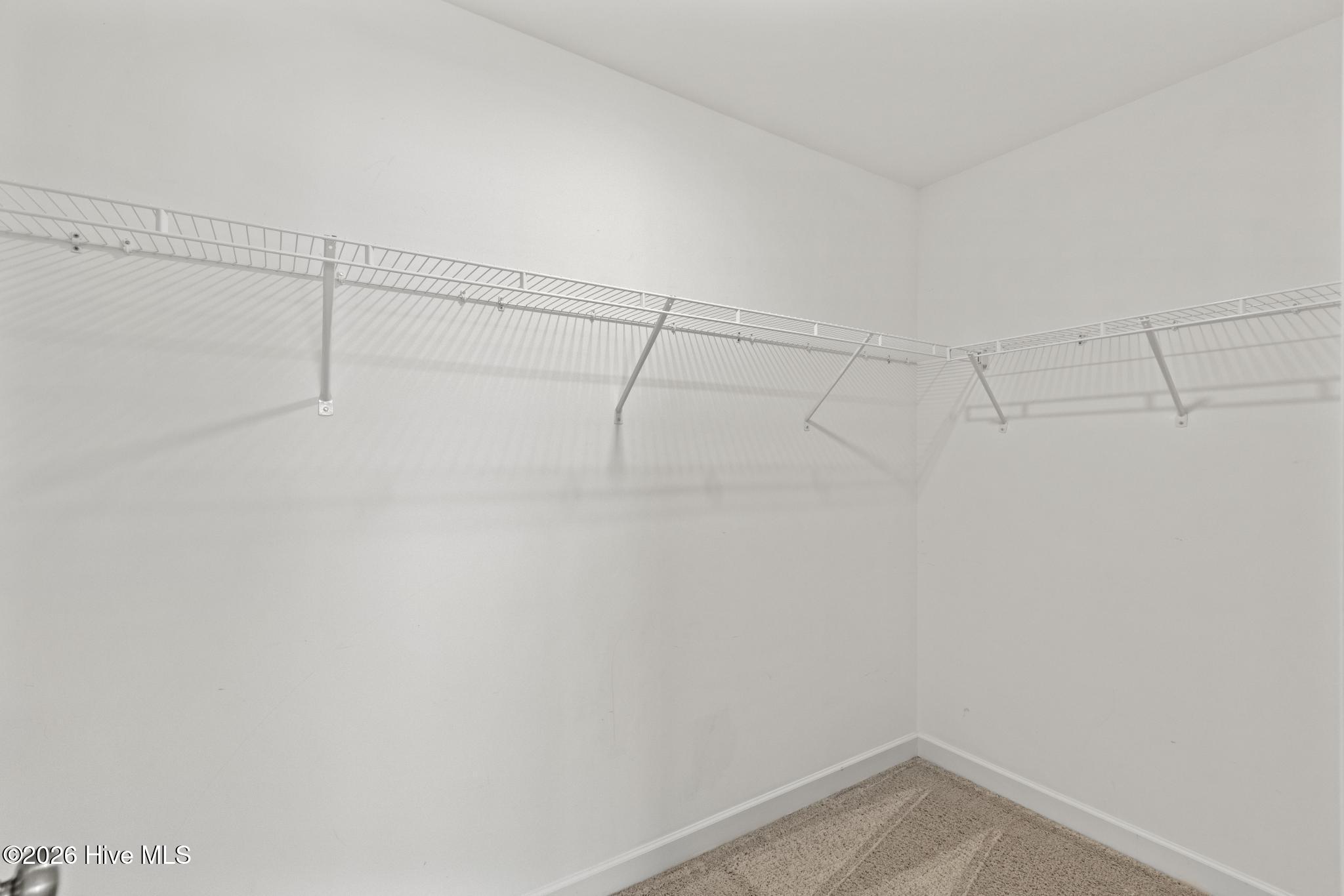 100554493 | Photo 36