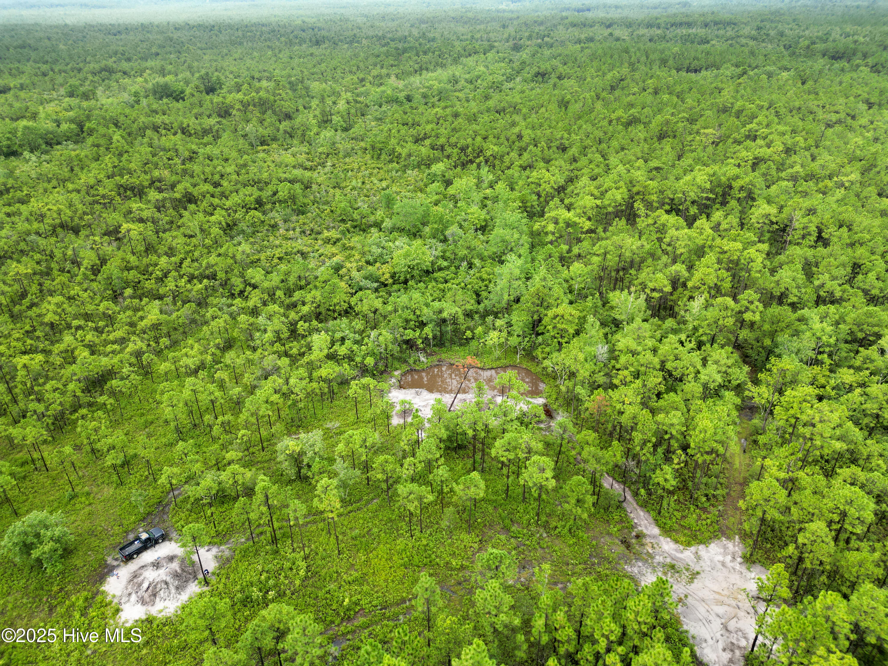 100525966 | Photo 22