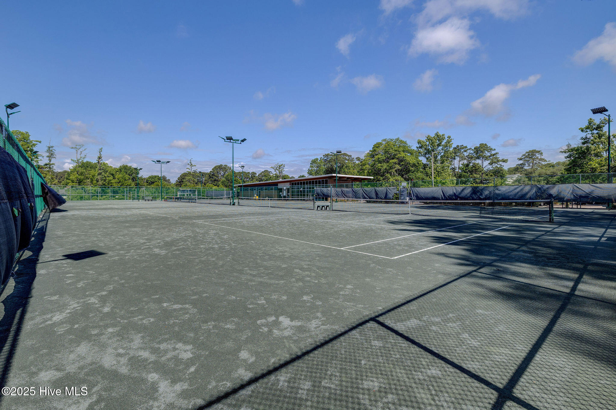 100538895 | Photo 59