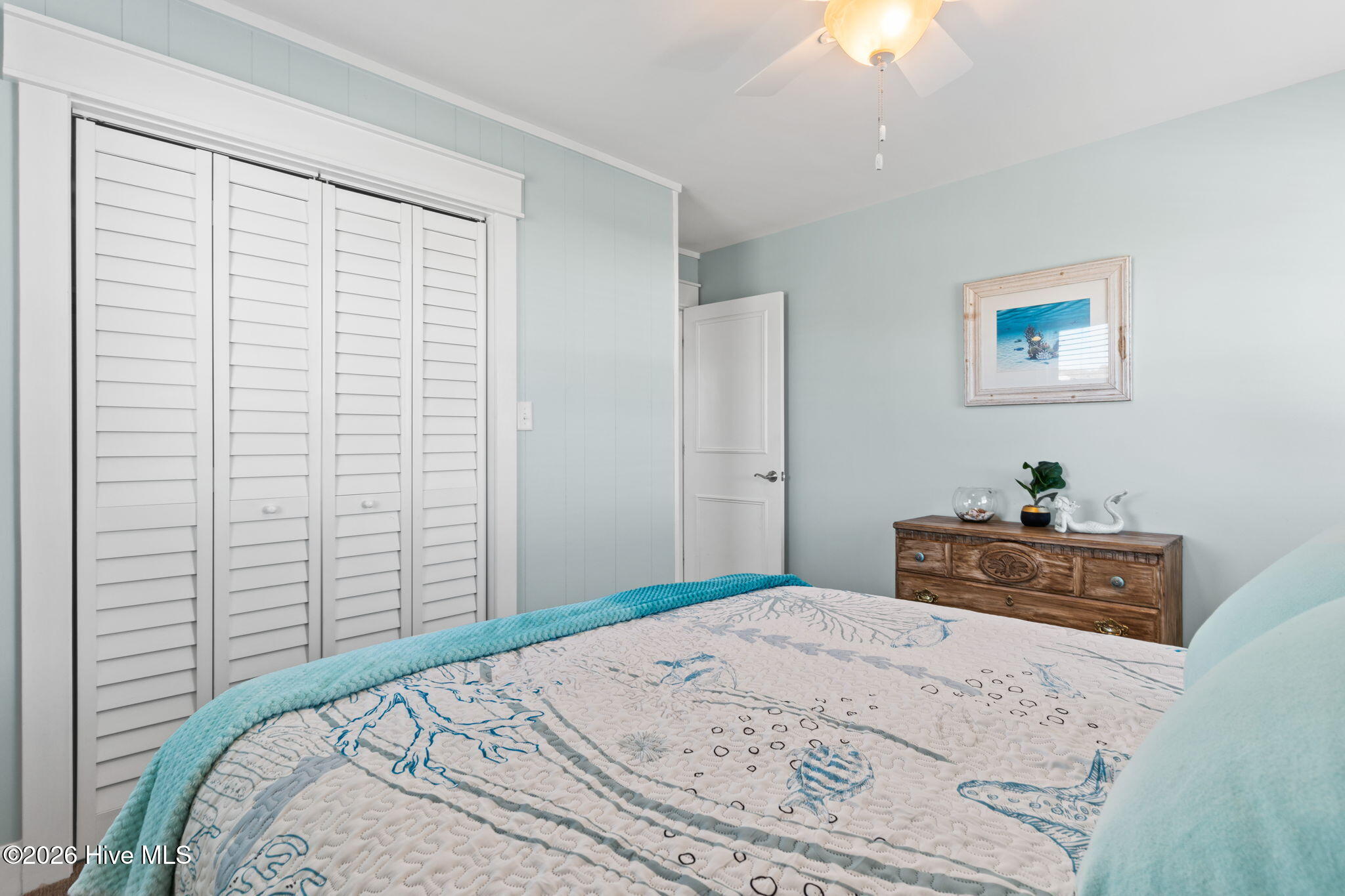 100556597 | Photo 19