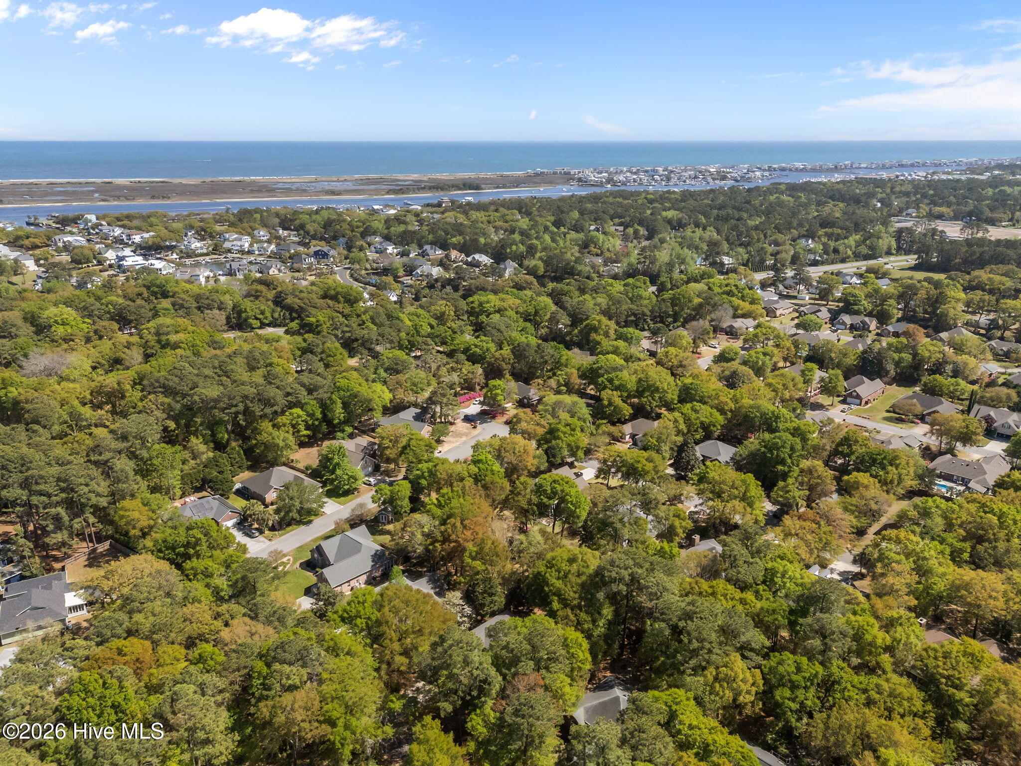 100565188 | Photo 51