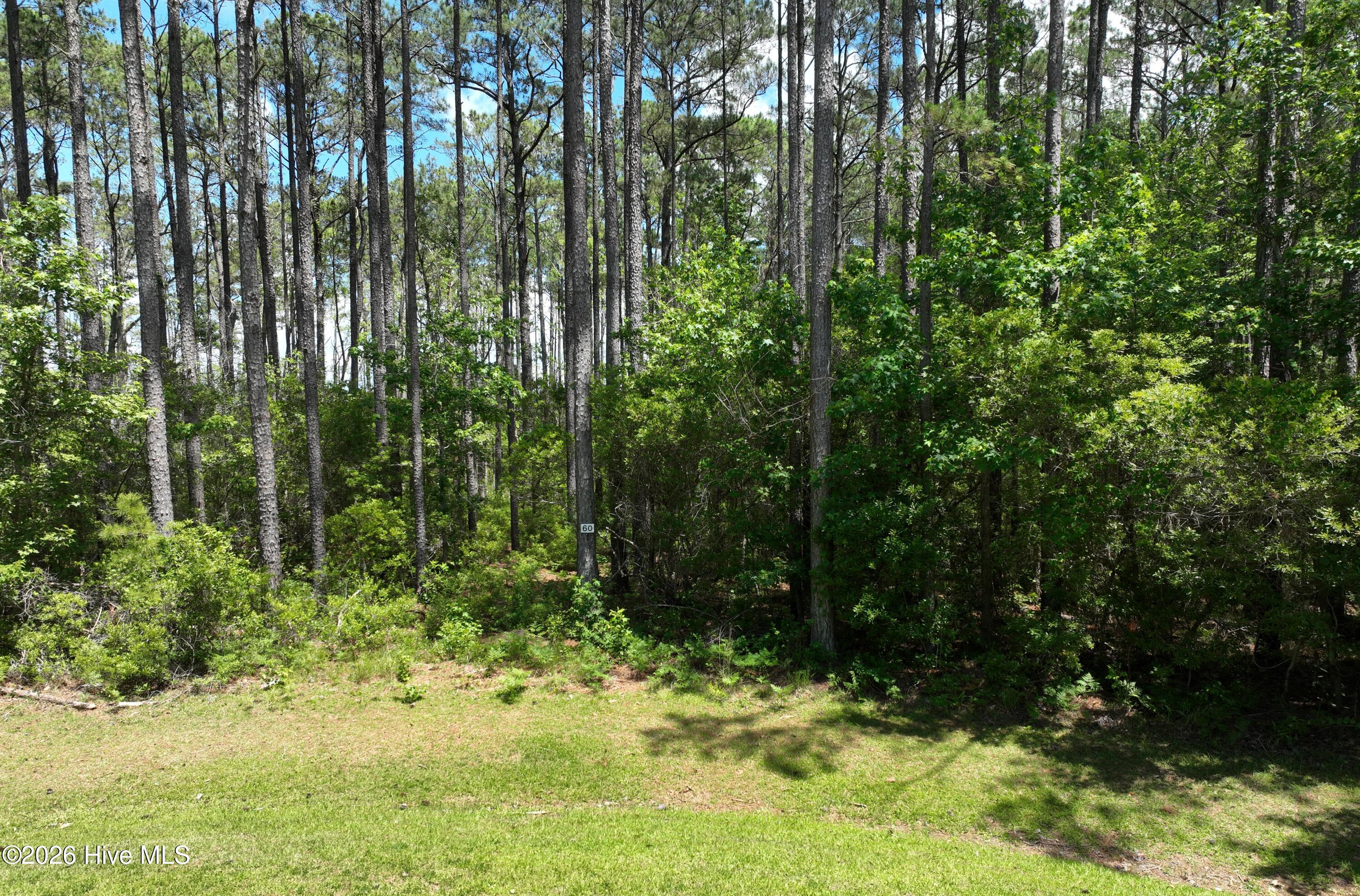 137 Bluefin Court,Beaufort