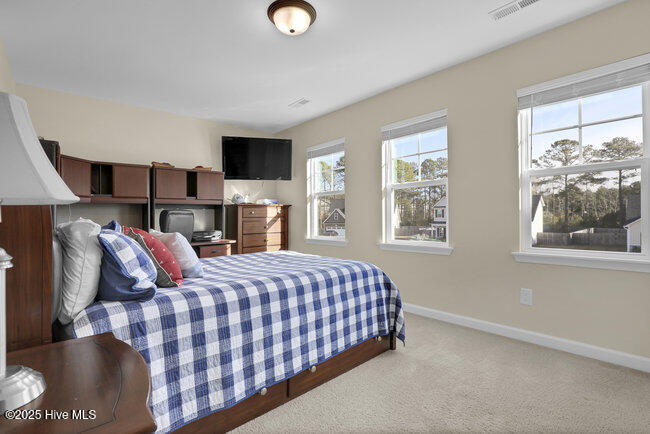 100545238 | Photo 12