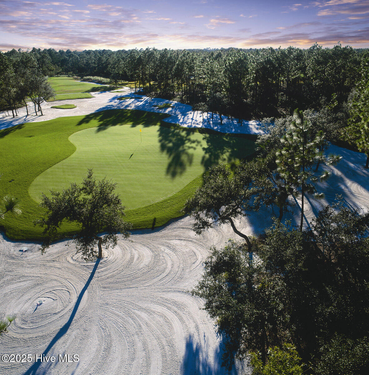 100551469 | Photo 10