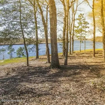 100548216 | Photo 60