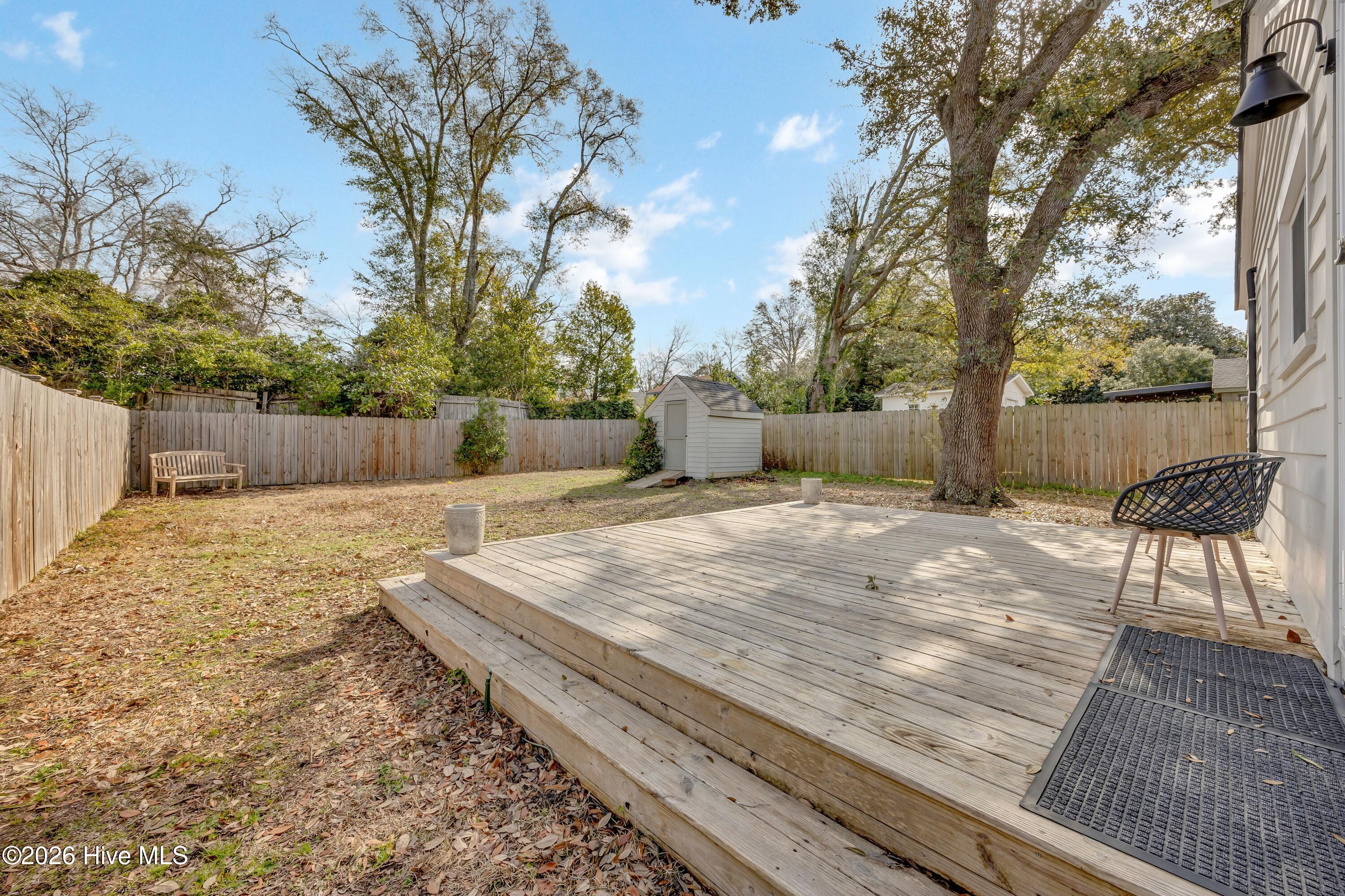 100555694 | Photo 24