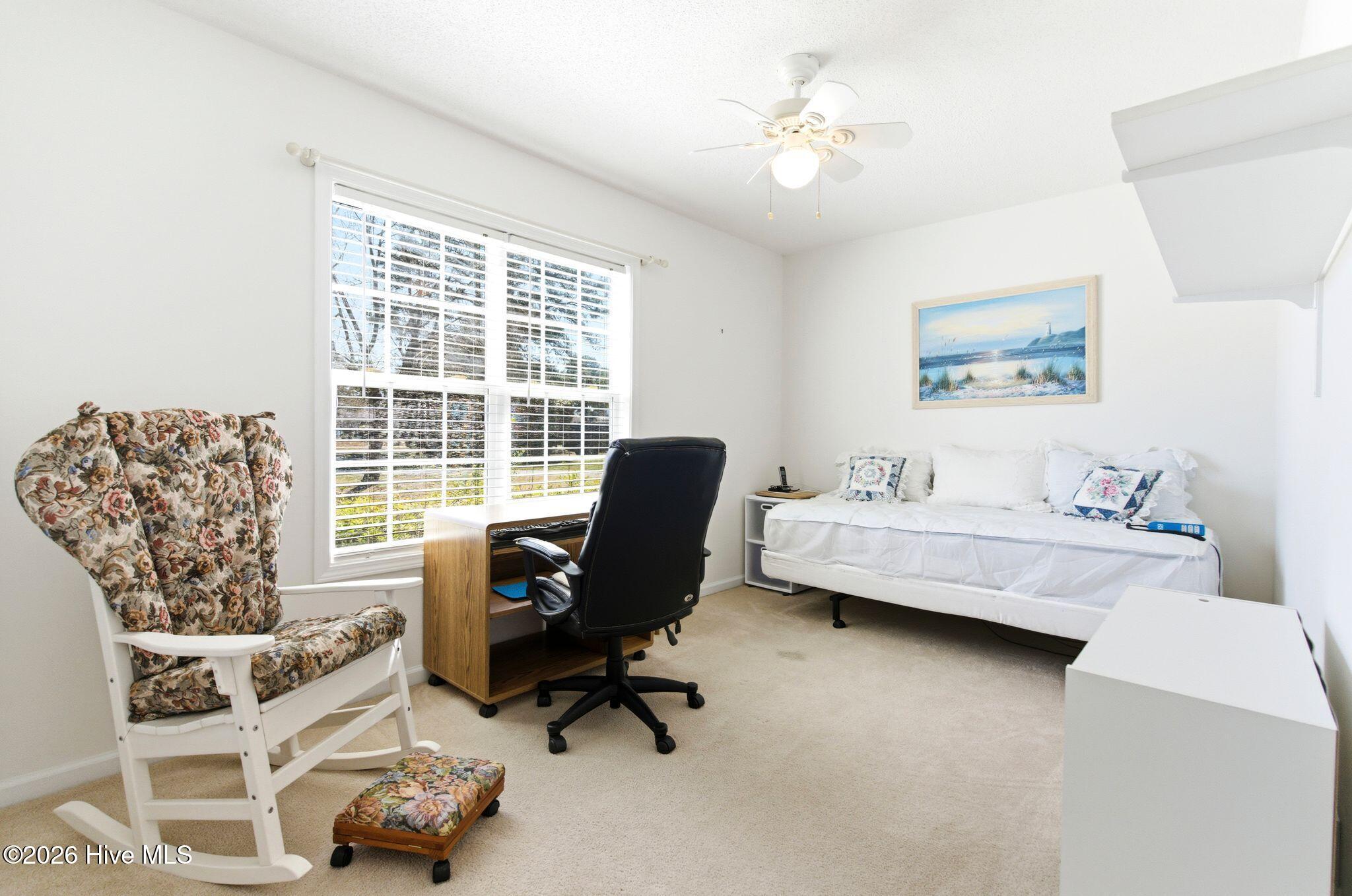 100562982 | Photo 36