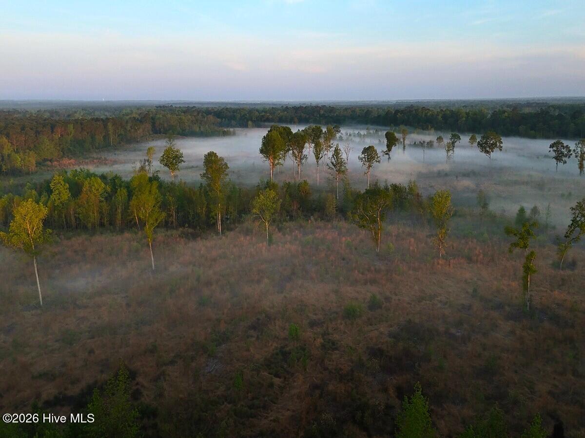 0 Durwood Evans Road, Beulaville, NC, 28518