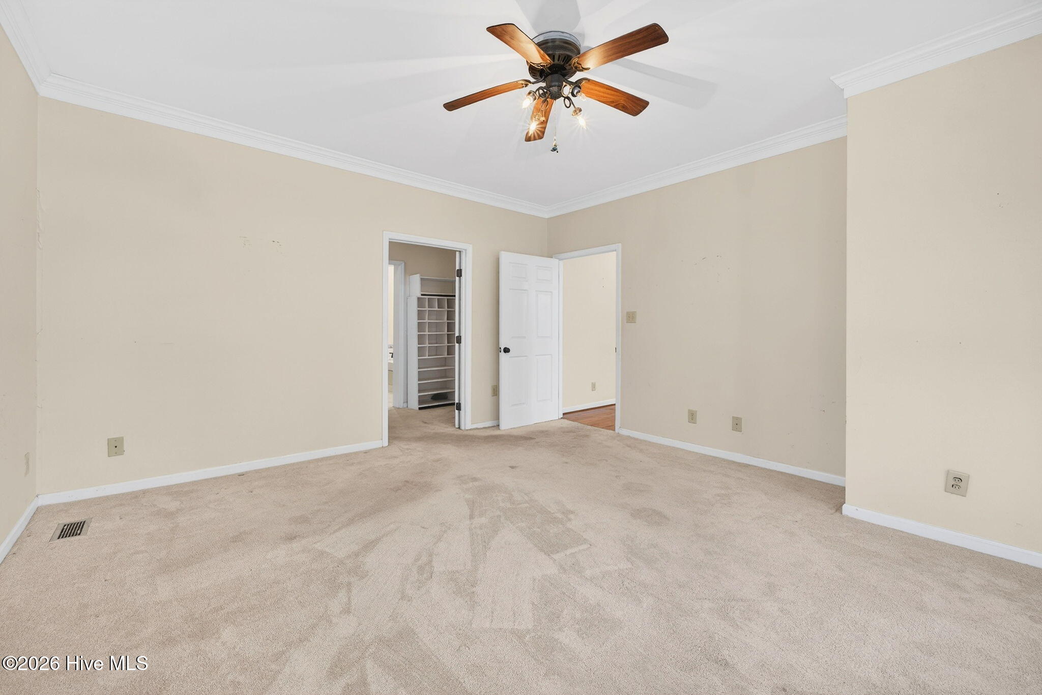 100559541 | Photo 57