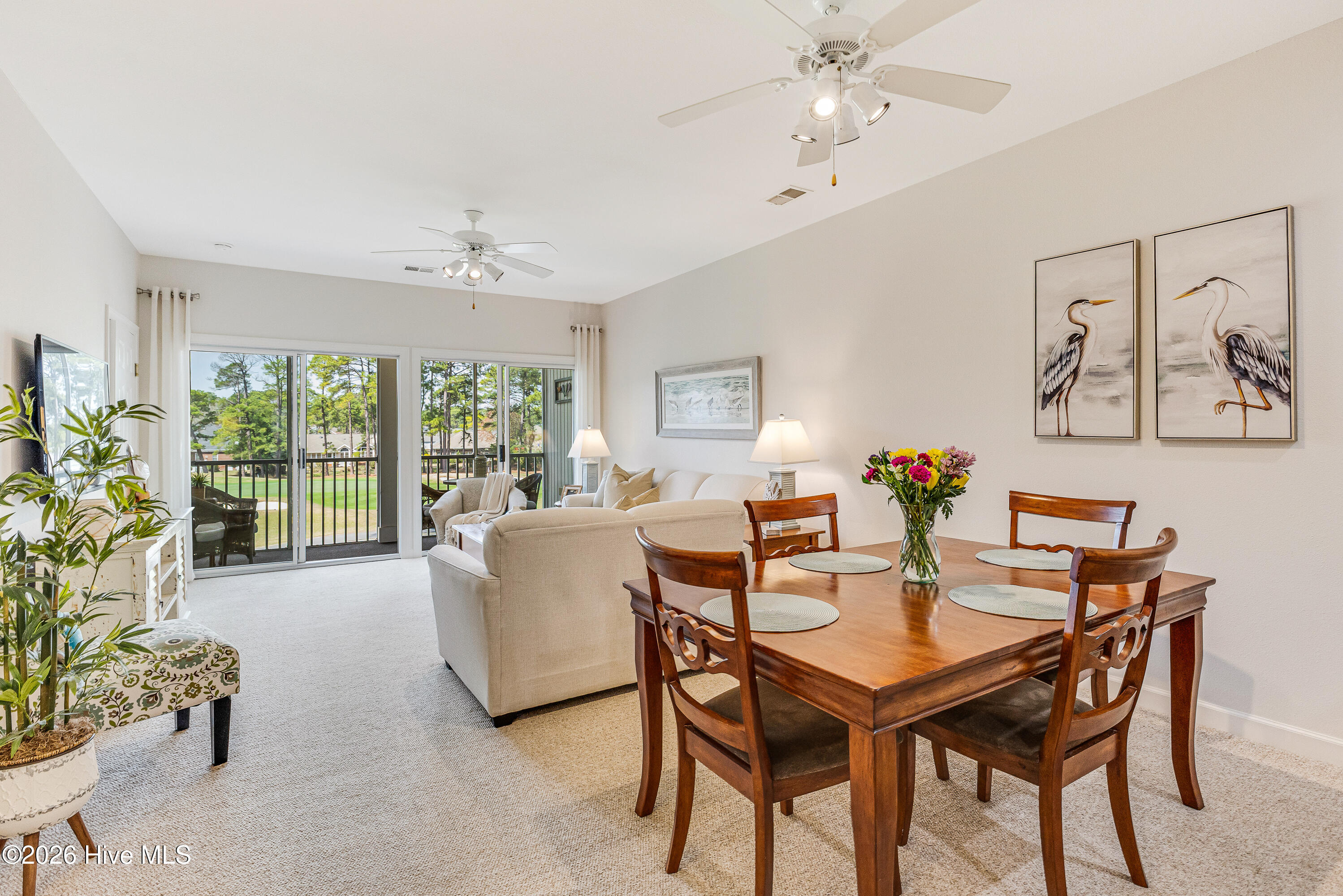 100561043 | Photo 13