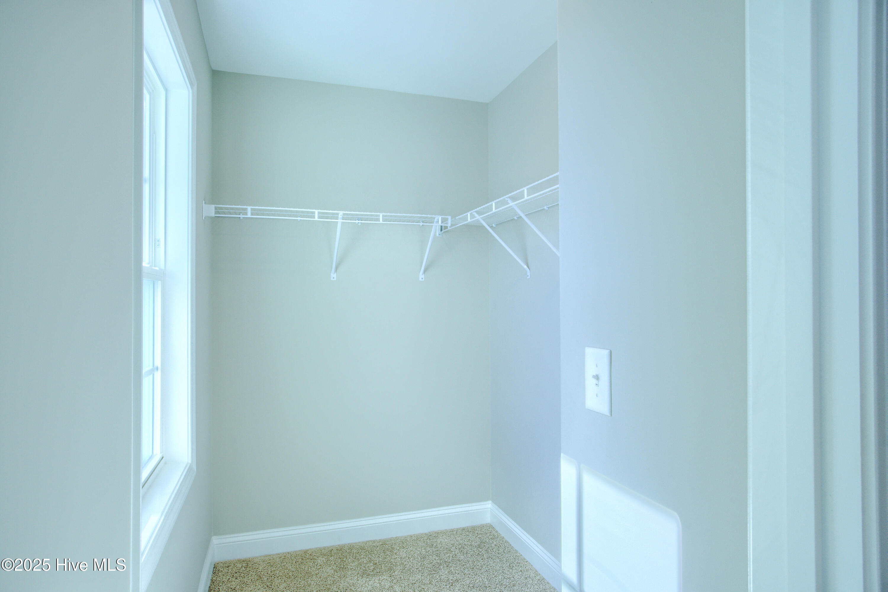 100495056 | Photo 18