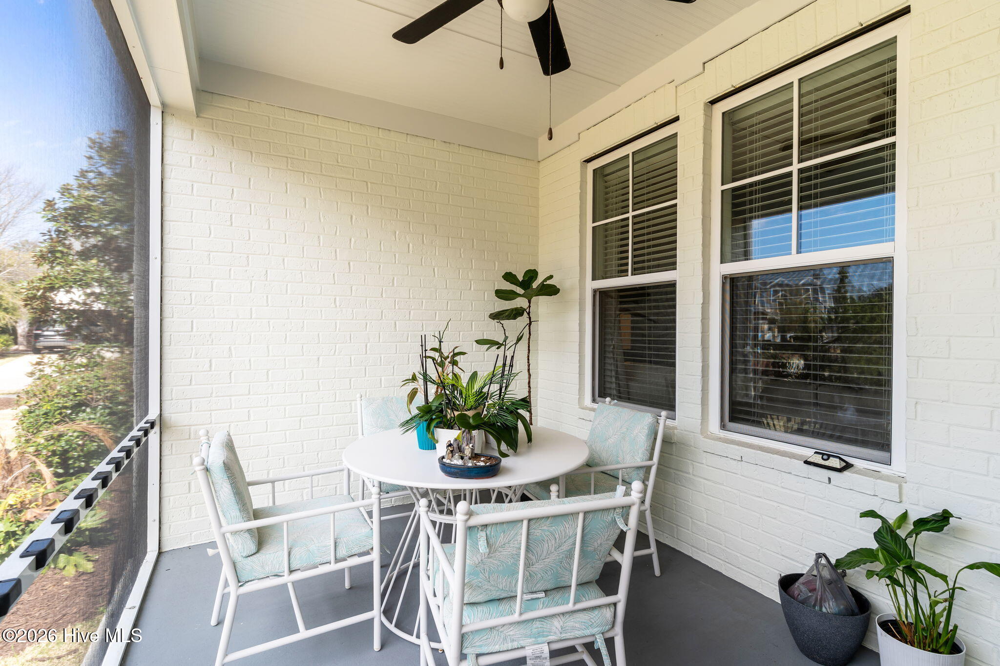 100559704 | Photo 31