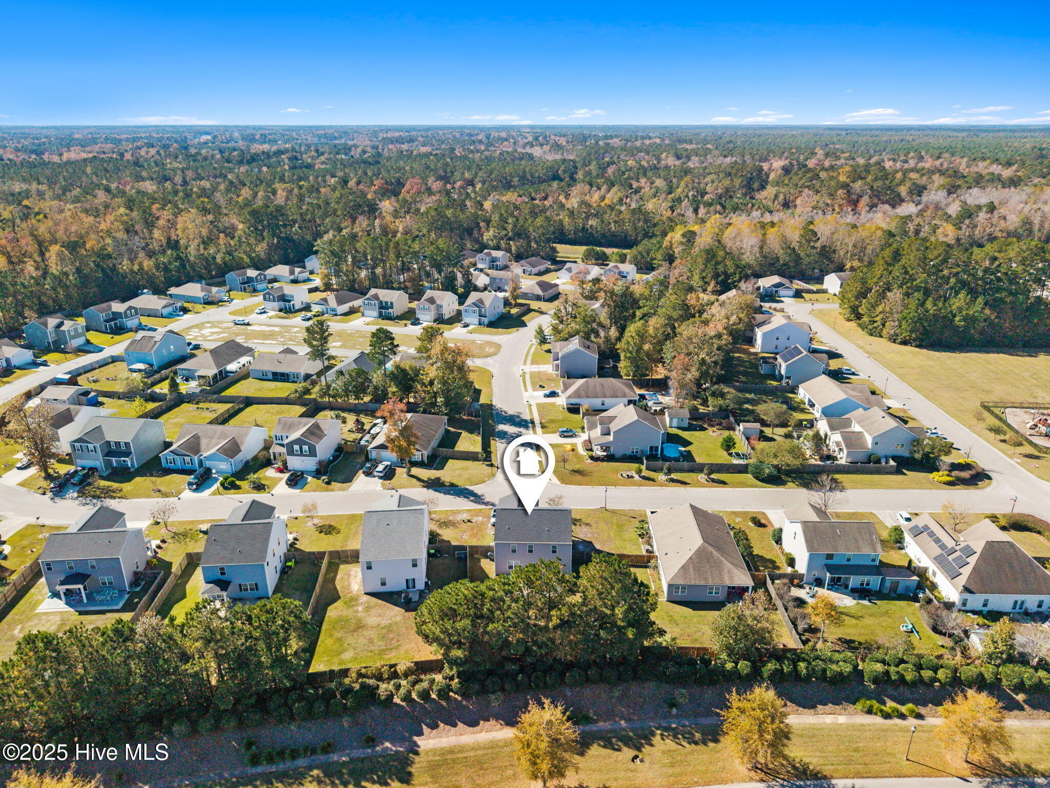 100538631 | Photo 34