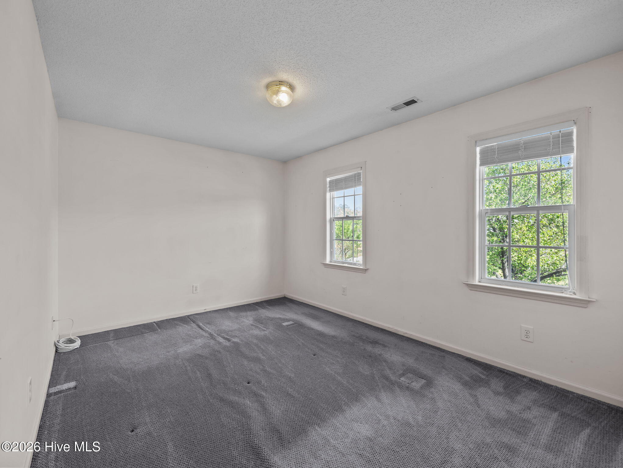 100565135 | Photo 18