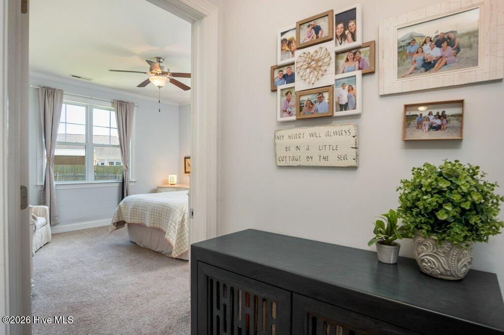 100569625 | Photo 25