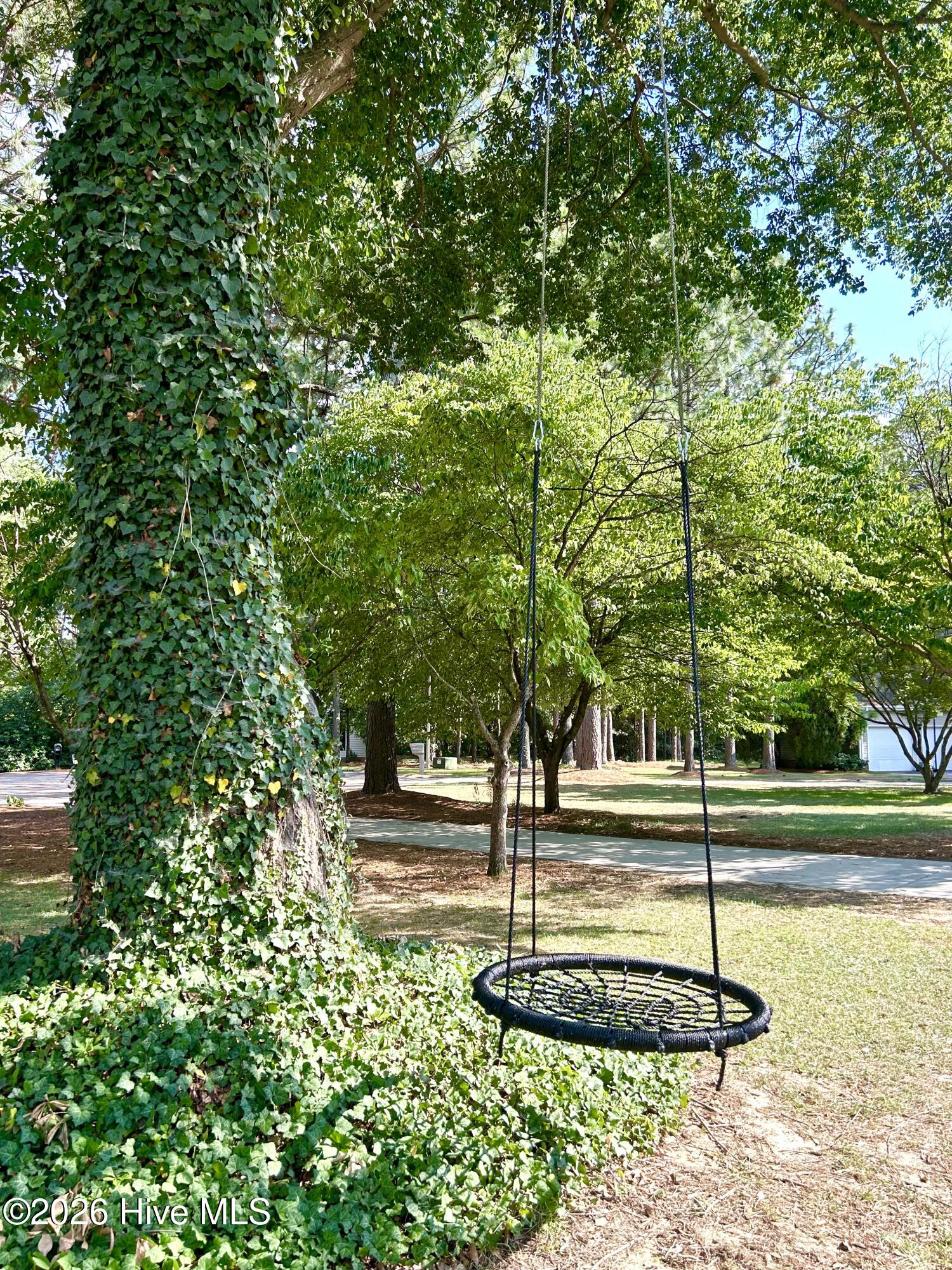 Tree swing