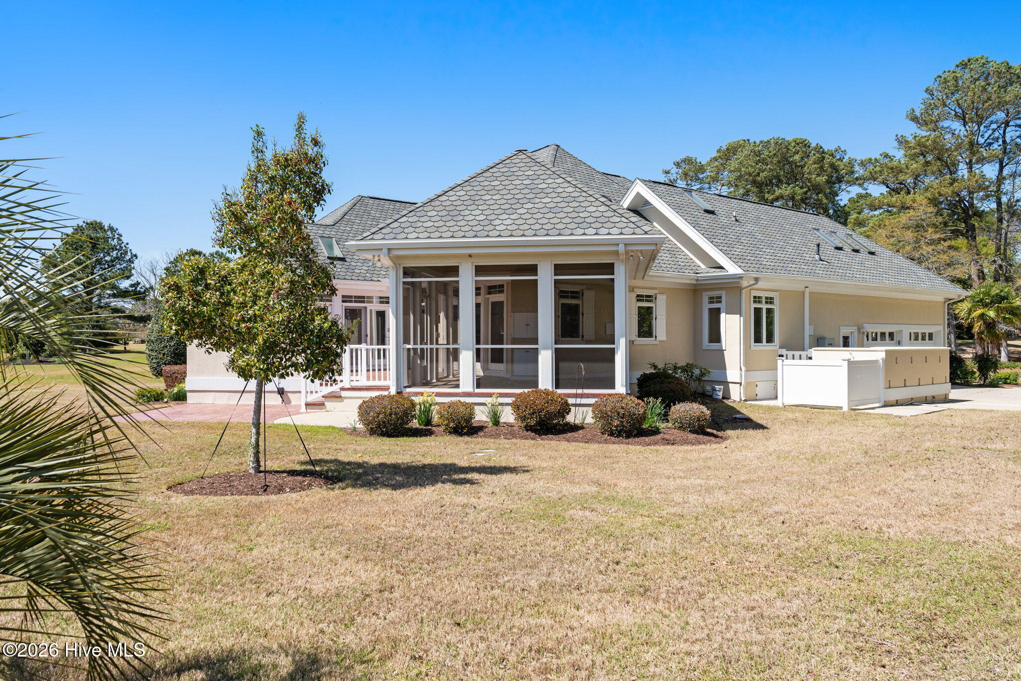 100564967 | Photo 50