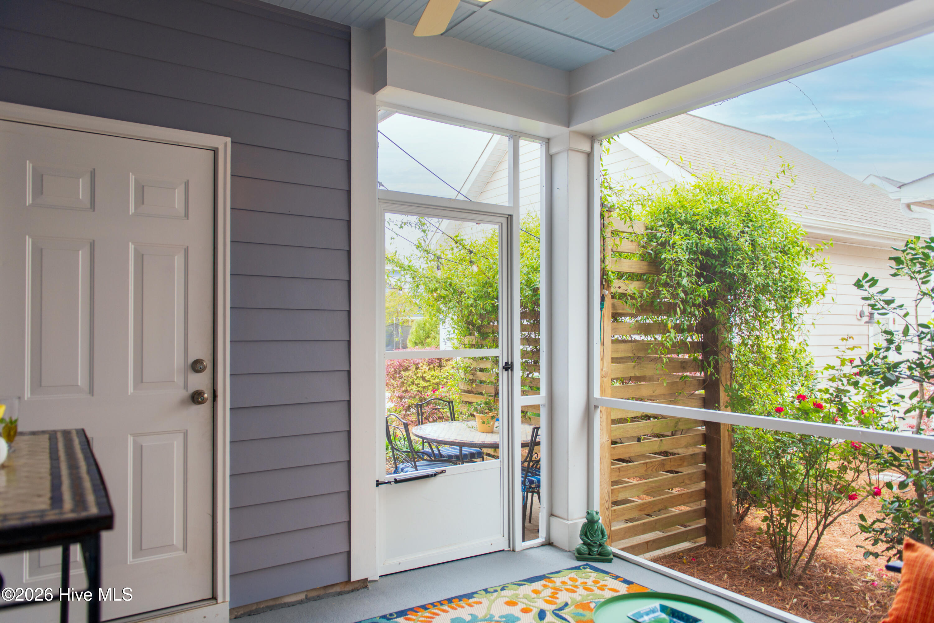 100568036 | Photo 62