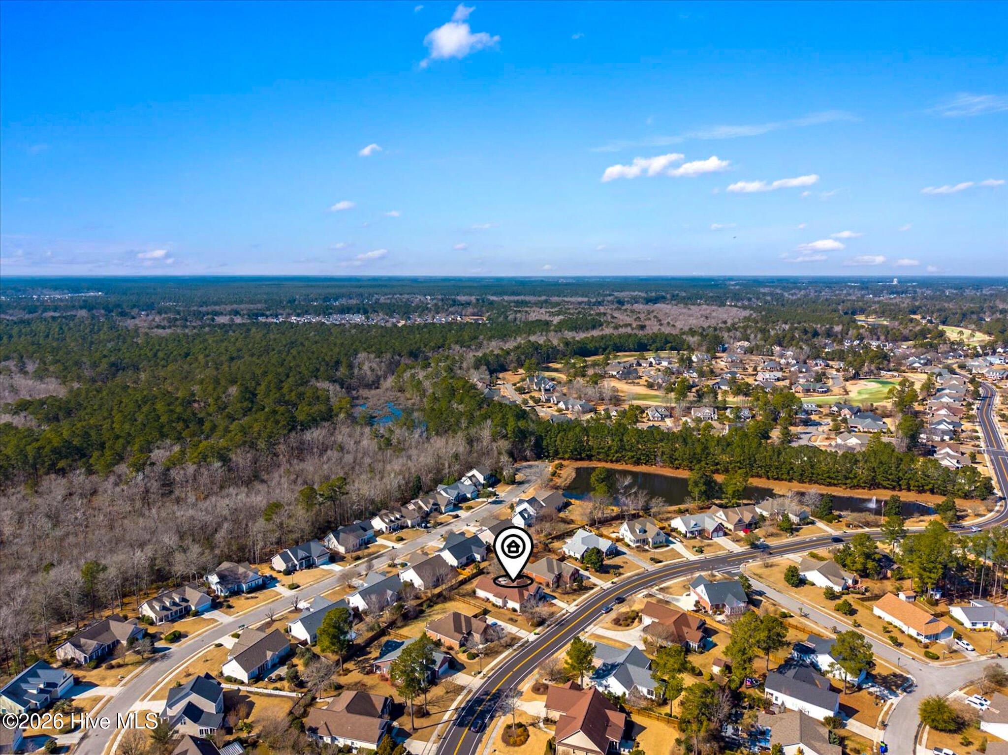 100554989 | Photo 47