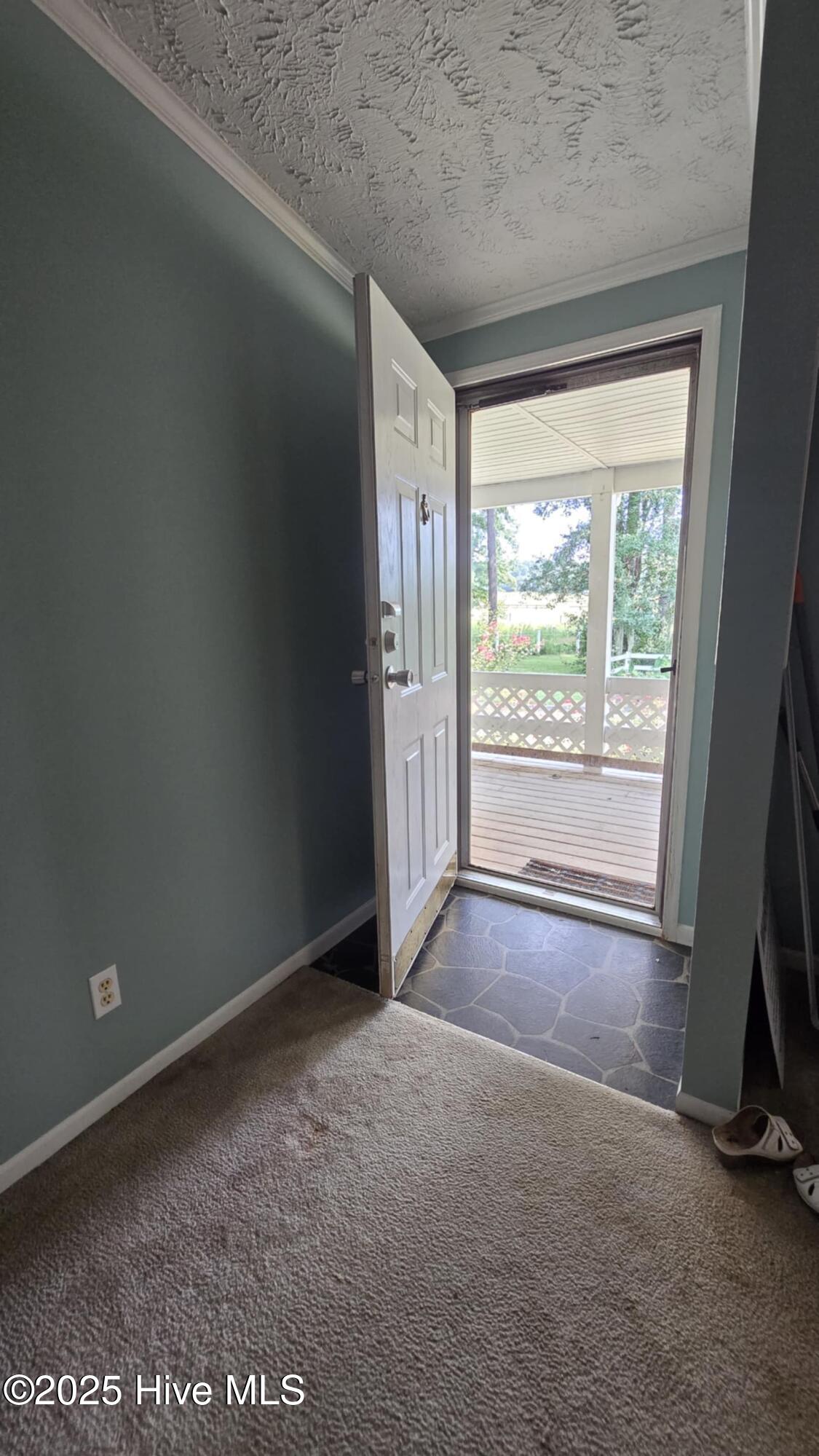 100522277 | Photo 36