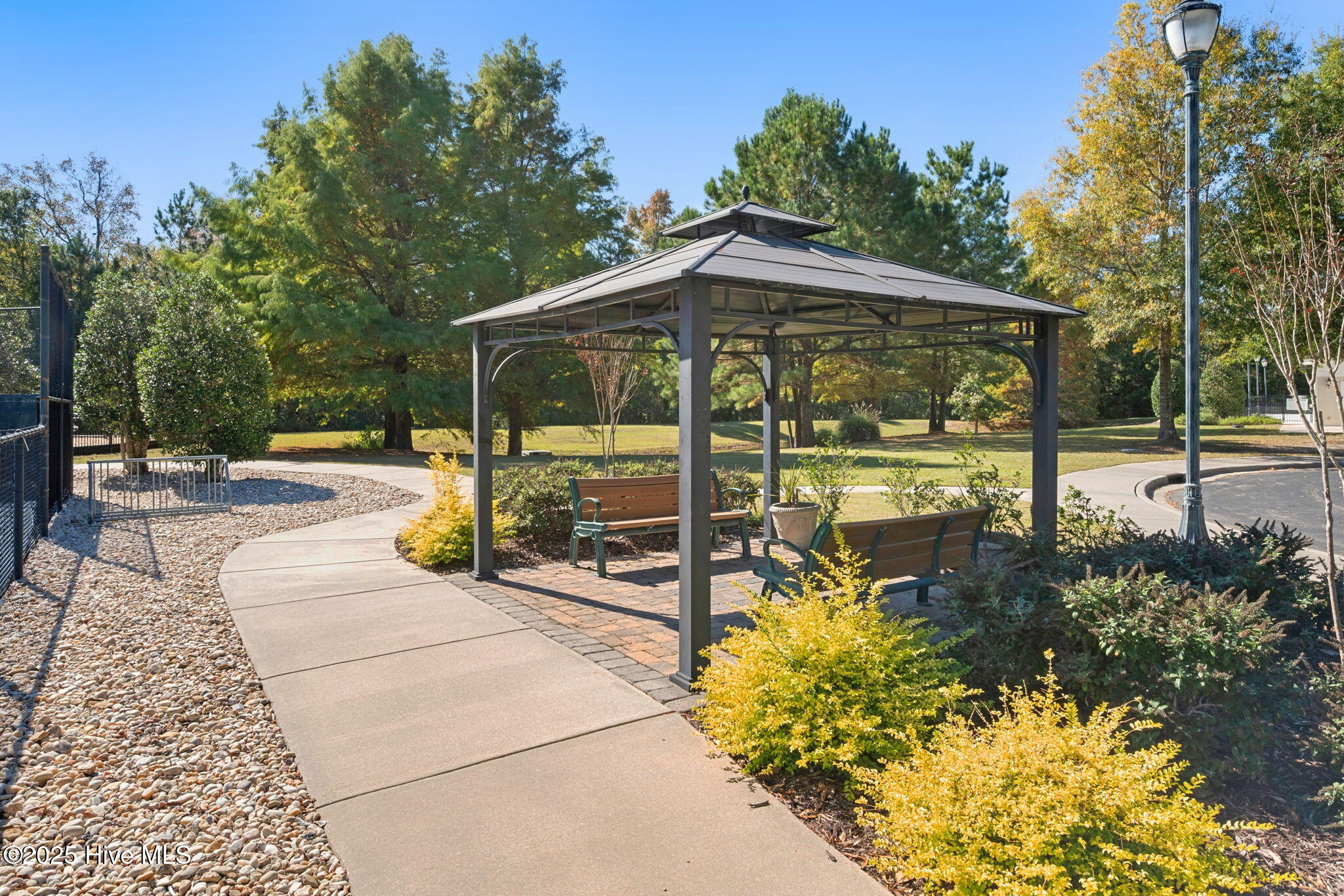 100538167 | Photo 50