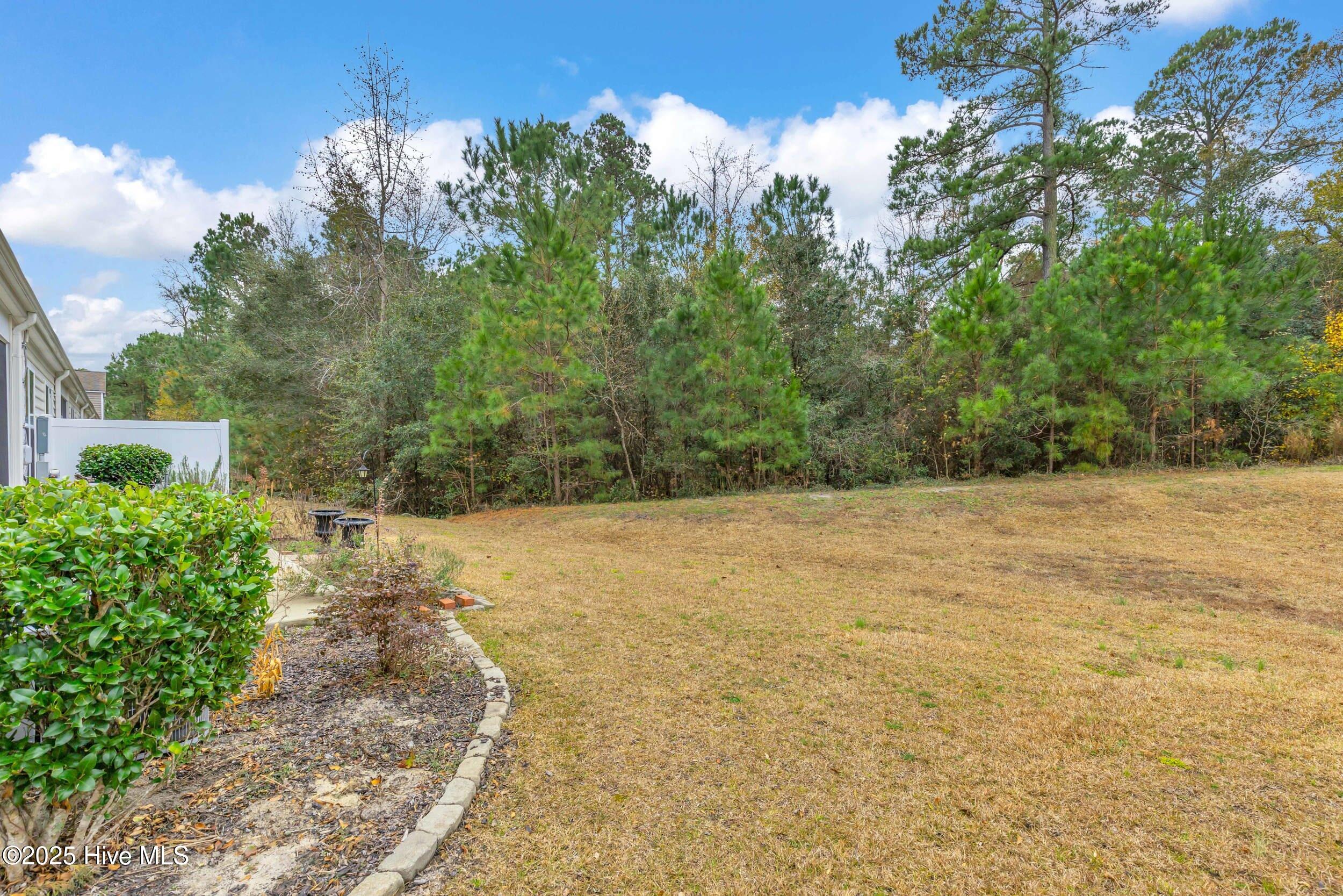 100546180 | Photo 33